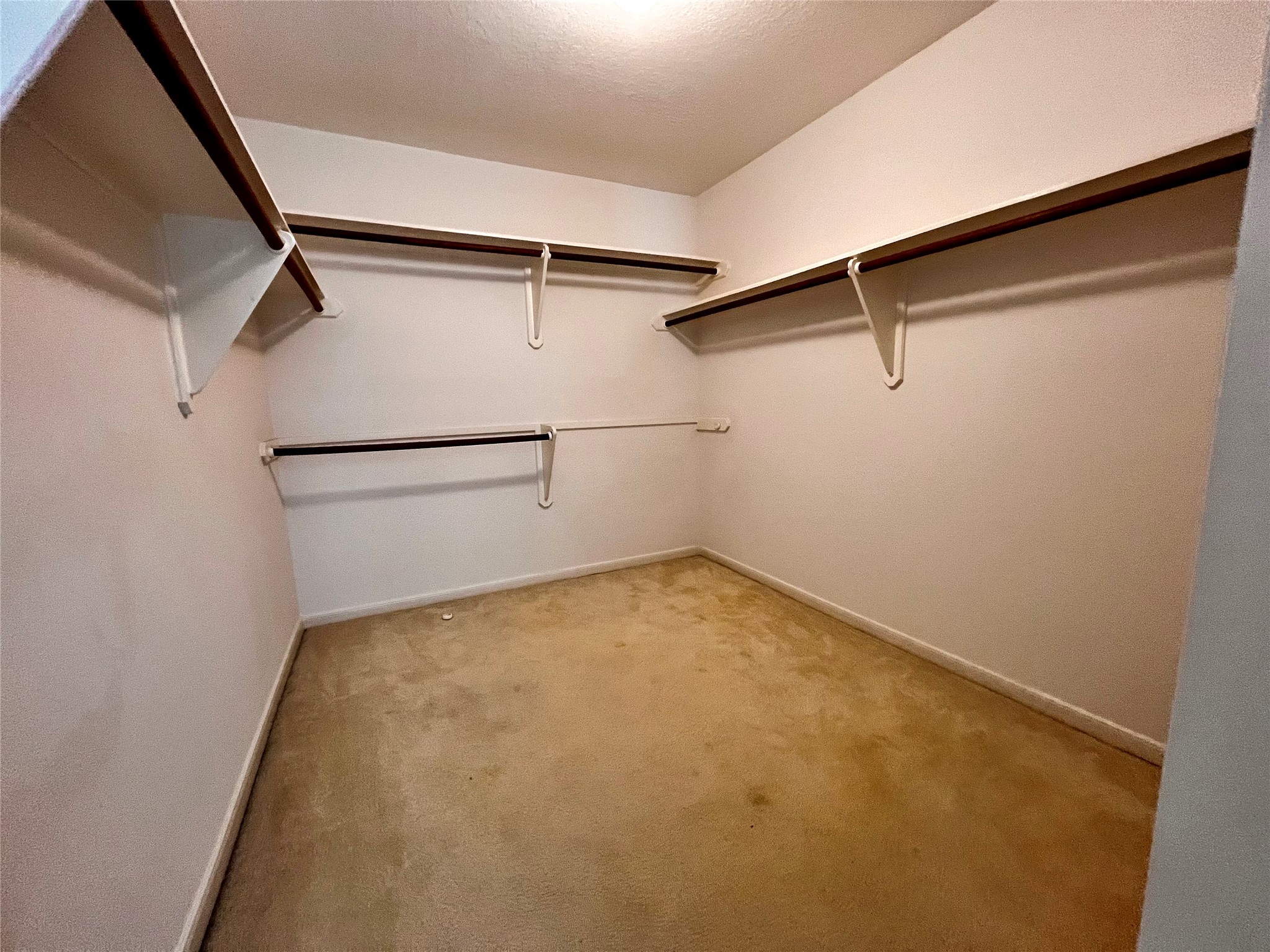 16911 Ascot Meadow Drive Property Photo 29