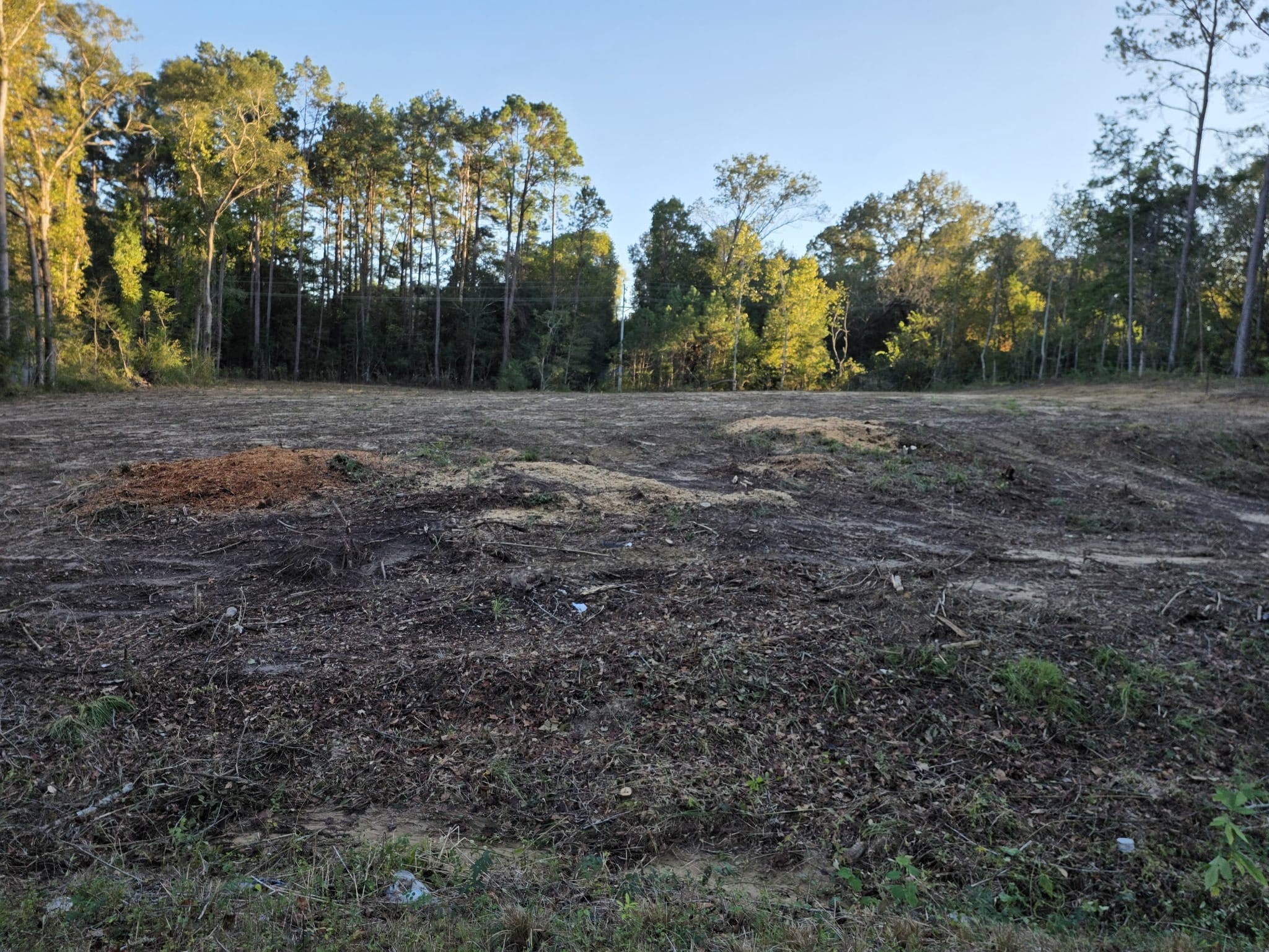 10337 Fm 787 Road W Property Photo 4