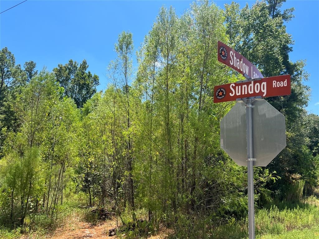 4-11-59 Sundog Road Property Photo 5