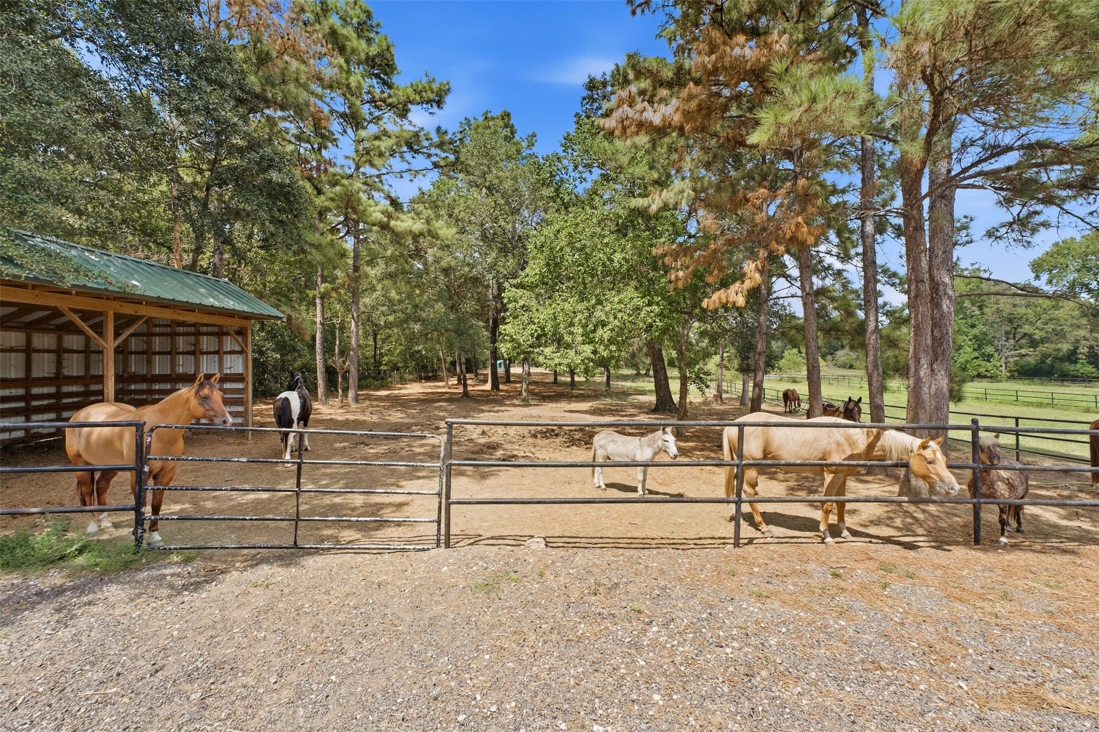 1175 Hunters Creek Way Property Photo 43