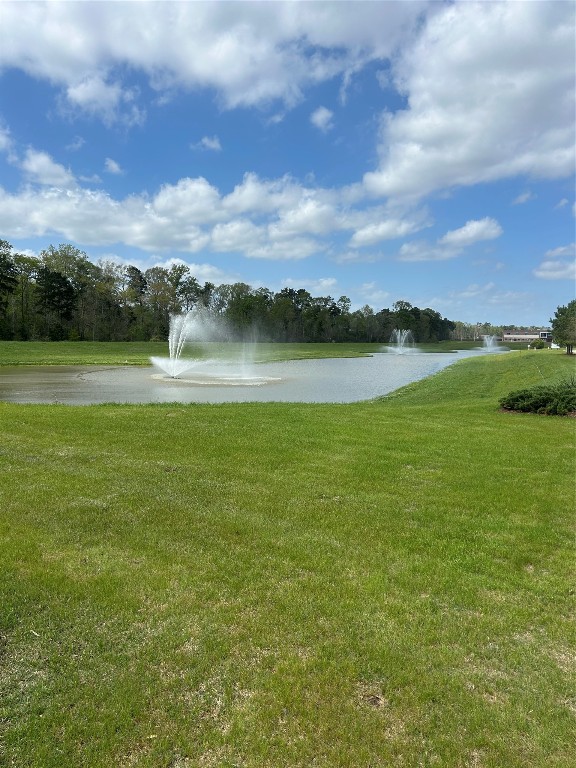 21130 Alder Oaks Dr Property Photo 2