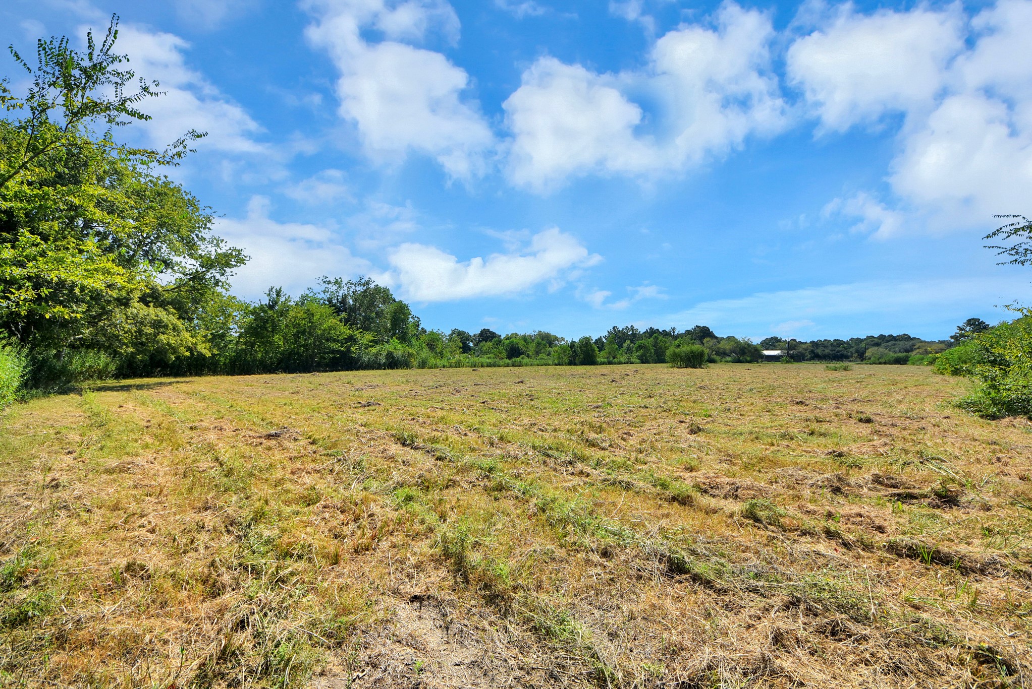 1007 Sundown Meadows Street Property Photo 33
