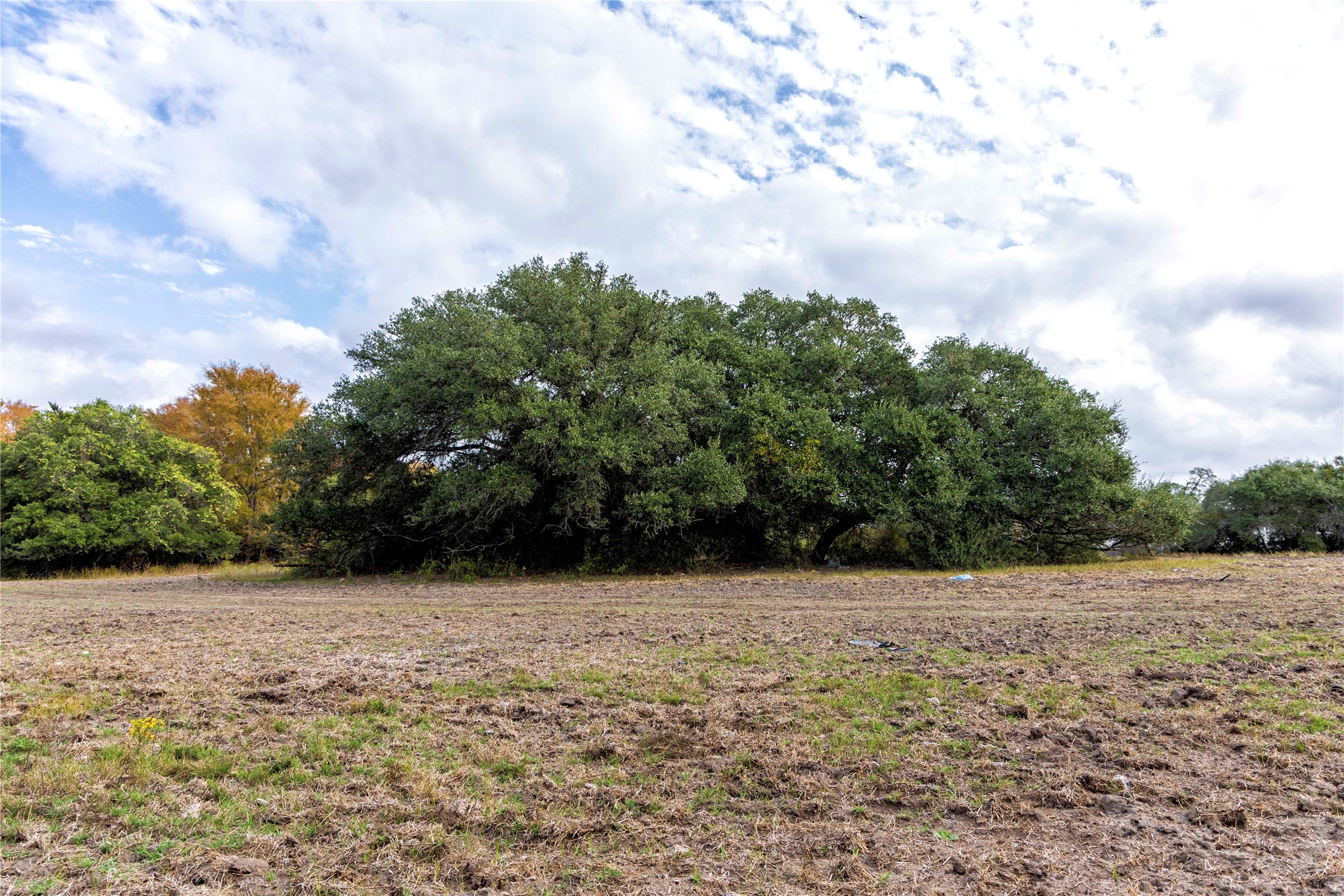 1250 Ladewig Lane Property Photo 32