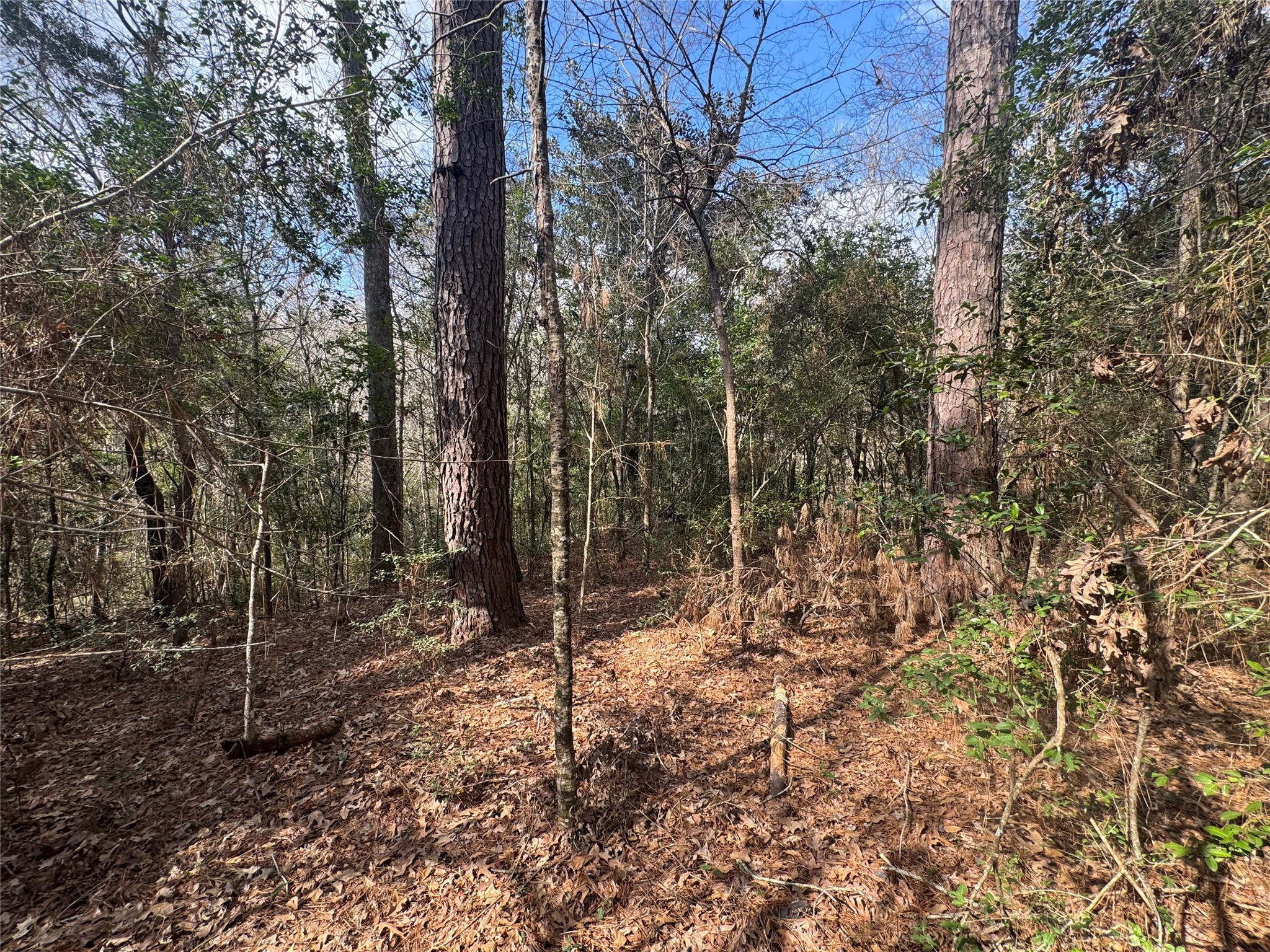 Lot 219 Mallard Drive Property Photo 1