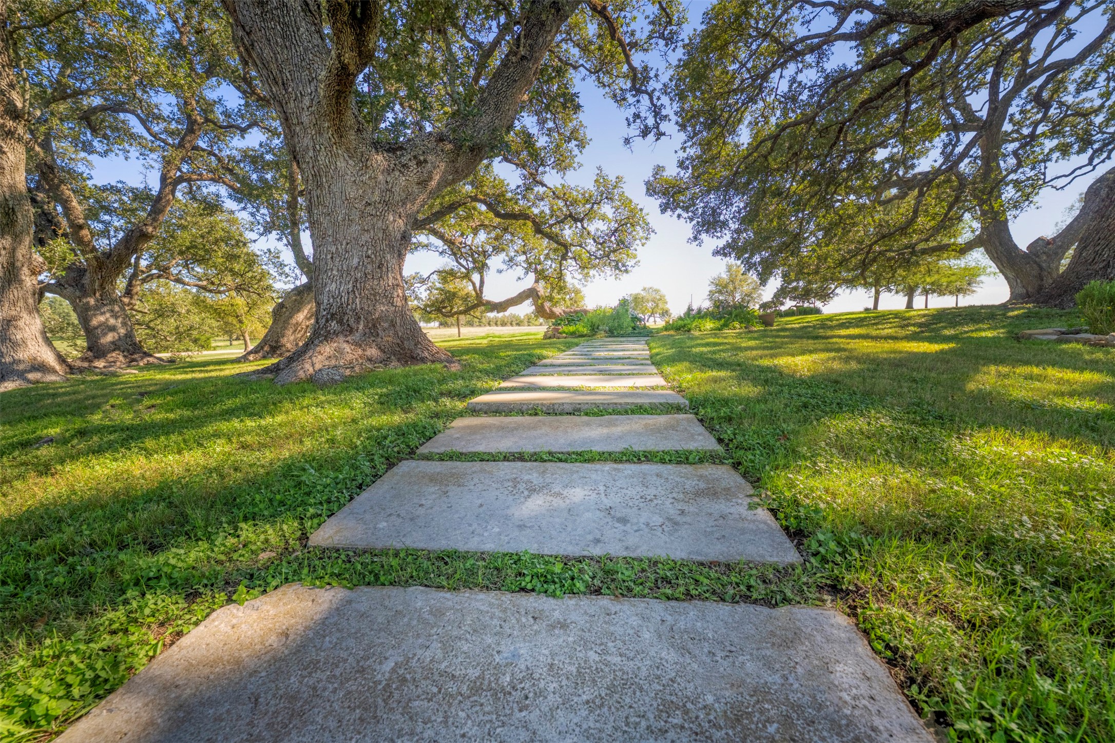 10209 Seward Plantation Road Property Photo 4