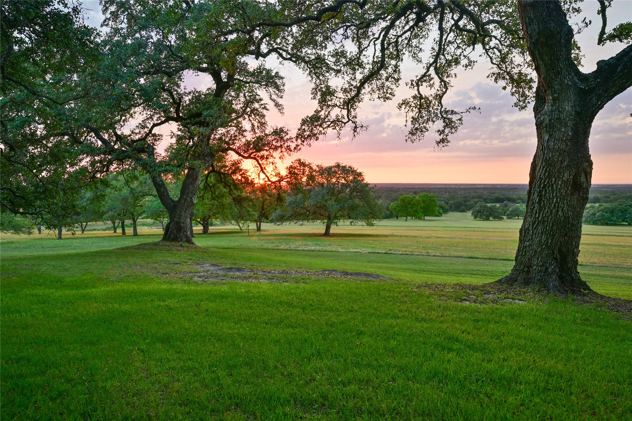 10209 Seward Plantation Road Property Photo 23