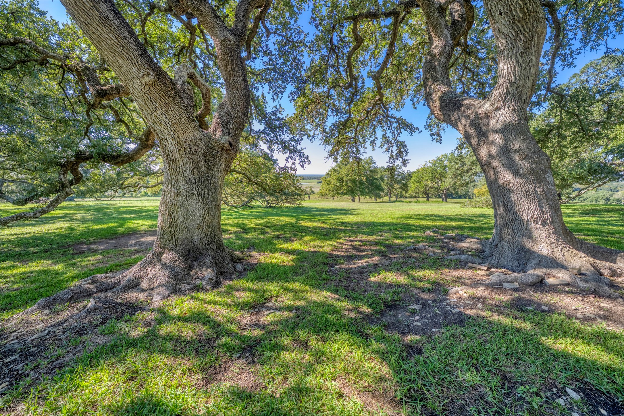 10209 Seward Plantation Road Property Photo 35