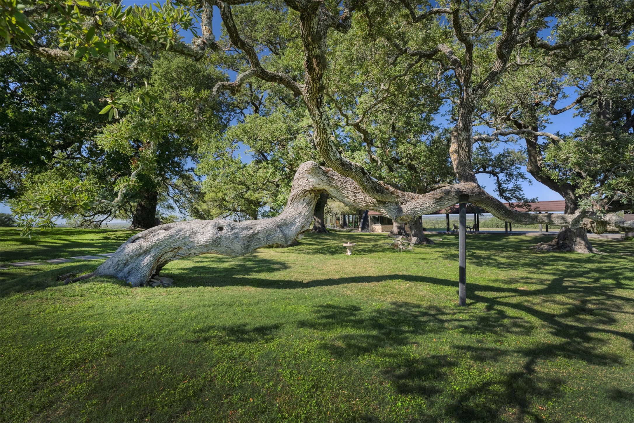 10209 Seward Plantation Road Property Photo 41