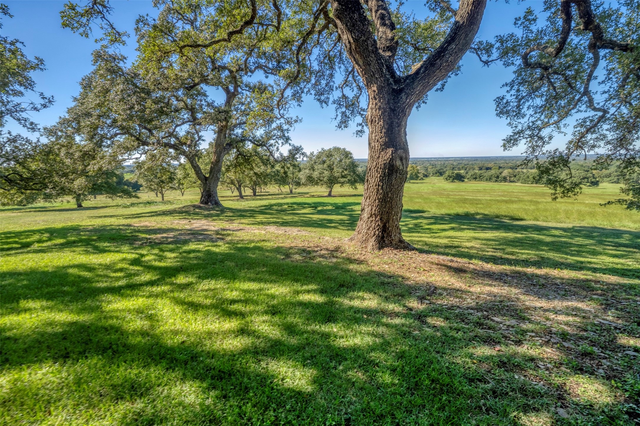 10209 Seward Plantation Road Property Photo 42