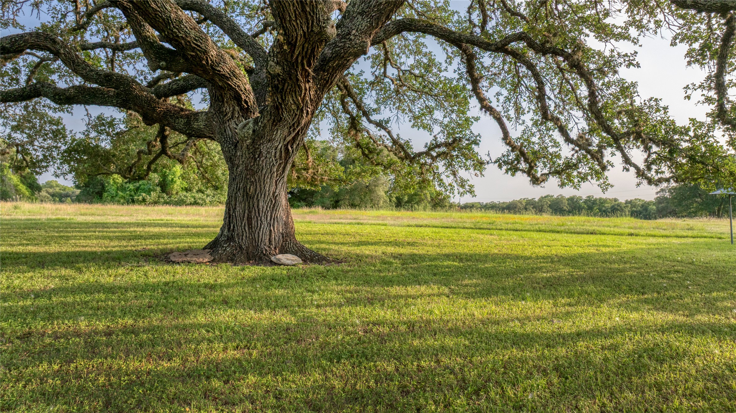 10209 Seward Plantation Road Property Photo 46