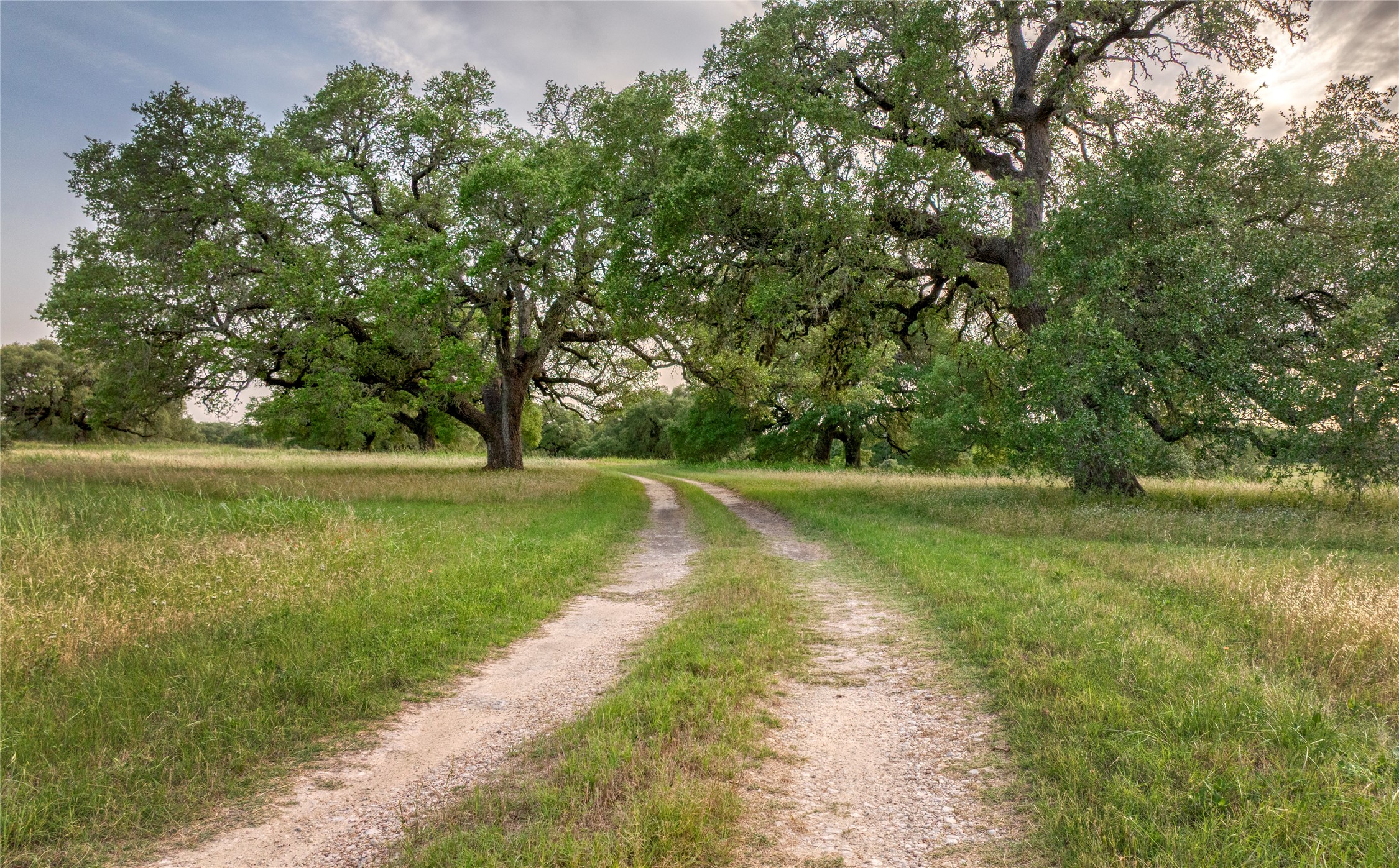 10209 Seward Plantation Road Property Photo 48