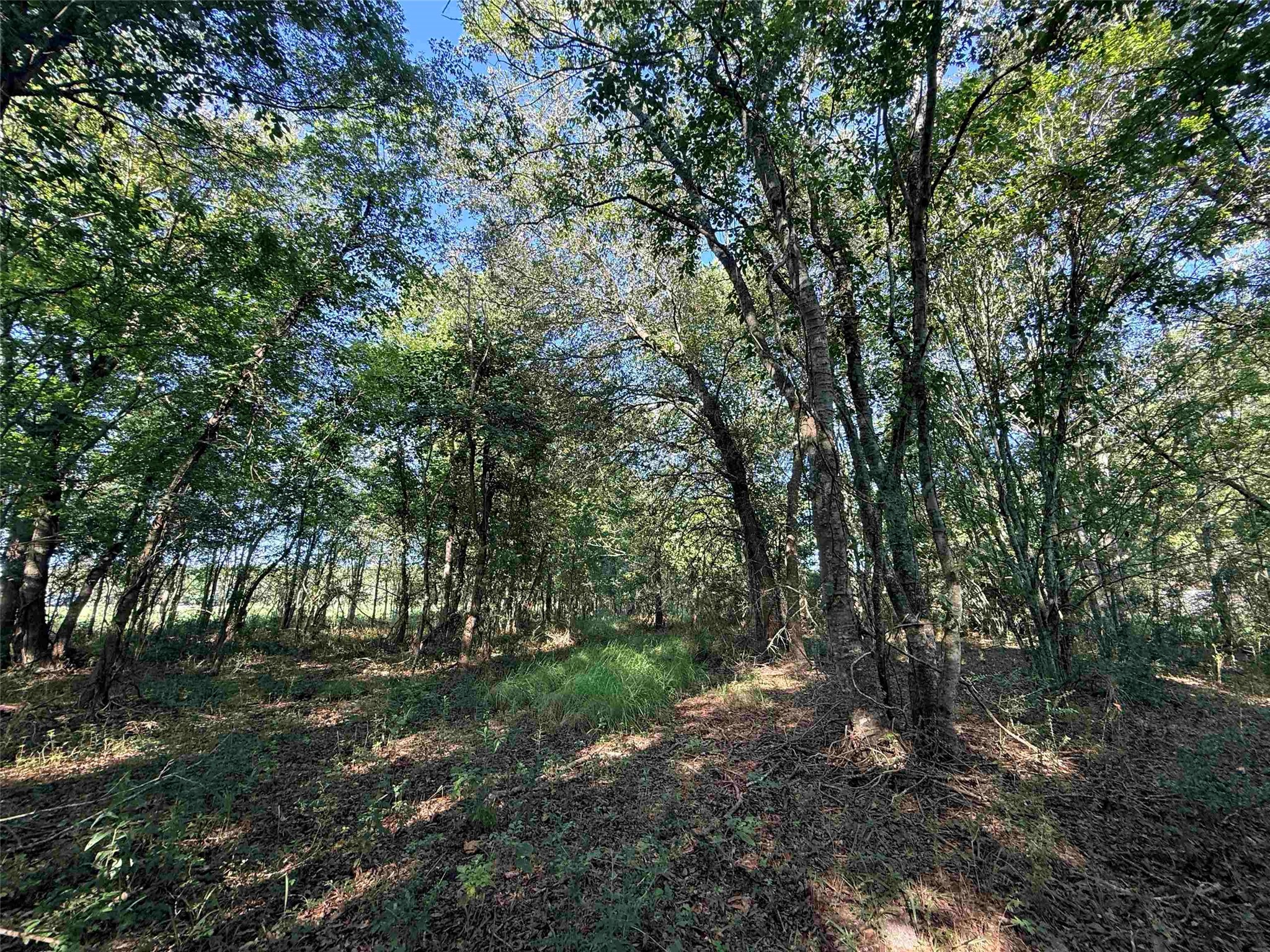 601 Amanda Property Photo 6