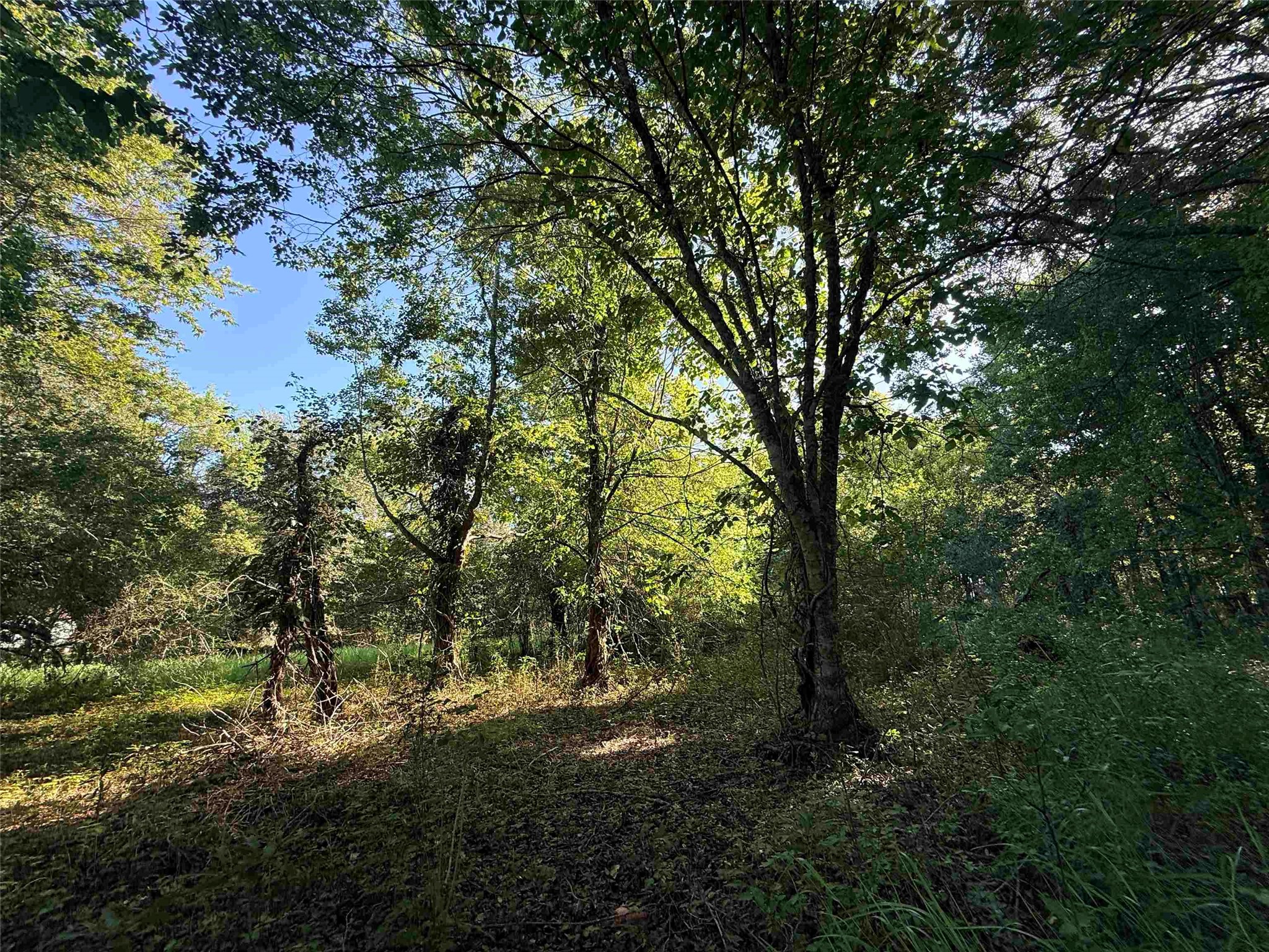 601 Amanda Property Photo 8