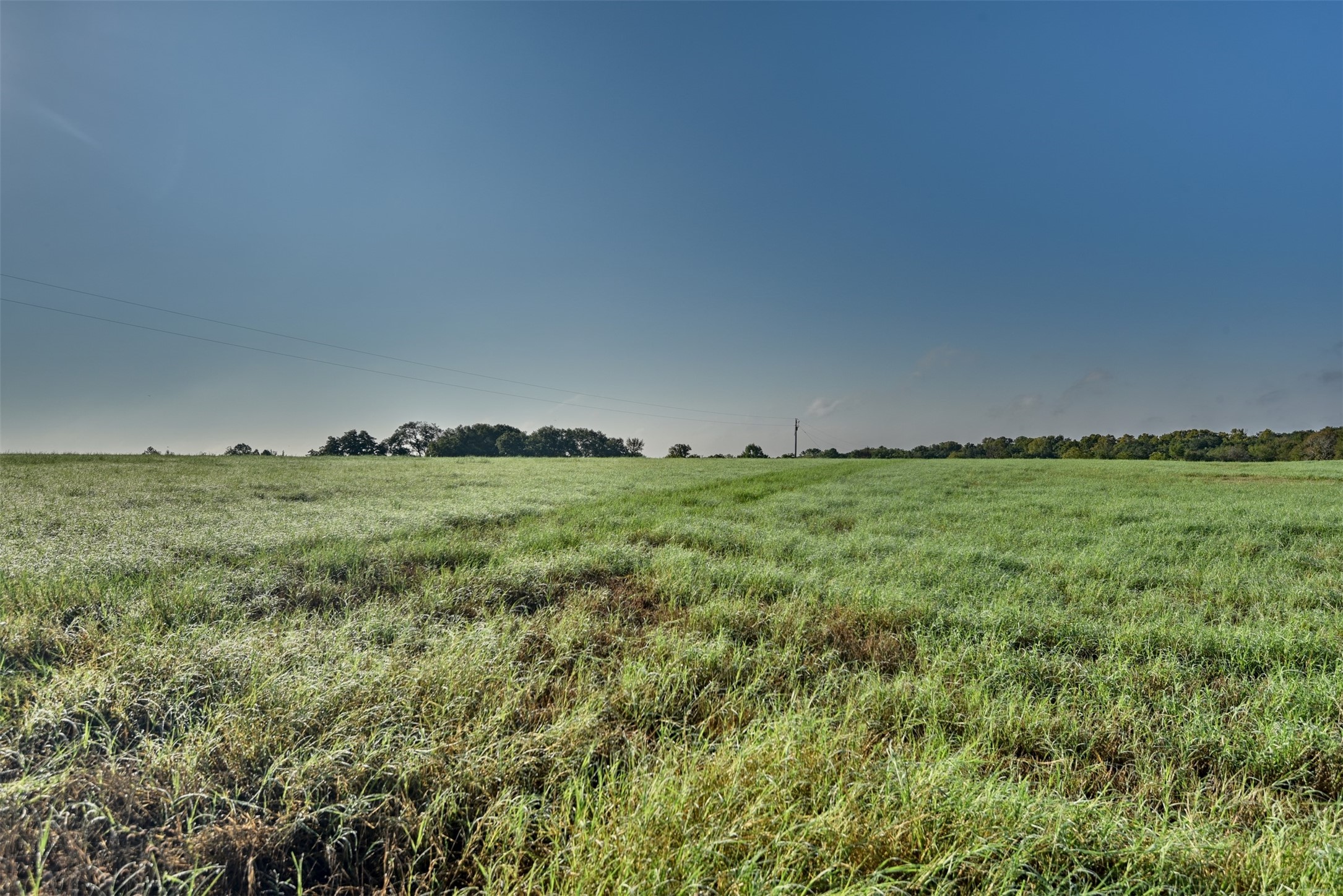 6454 Trackside Road Property Photo 8