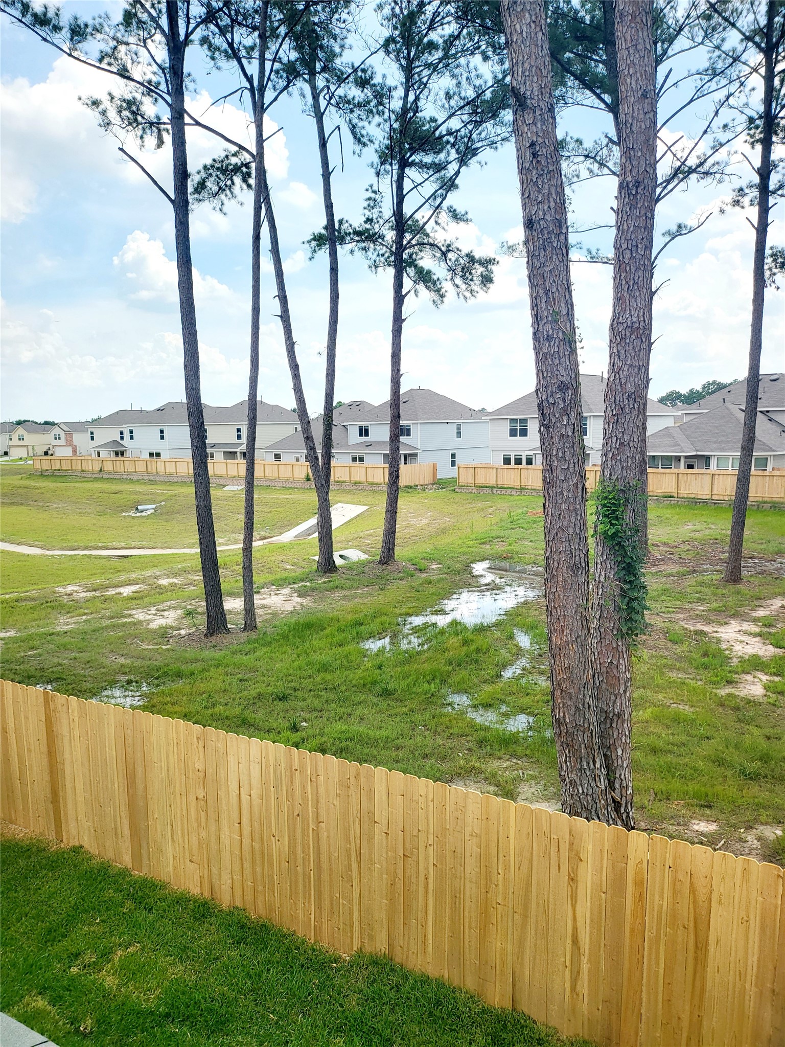 22103 Grand Majestic Property Photo 11
