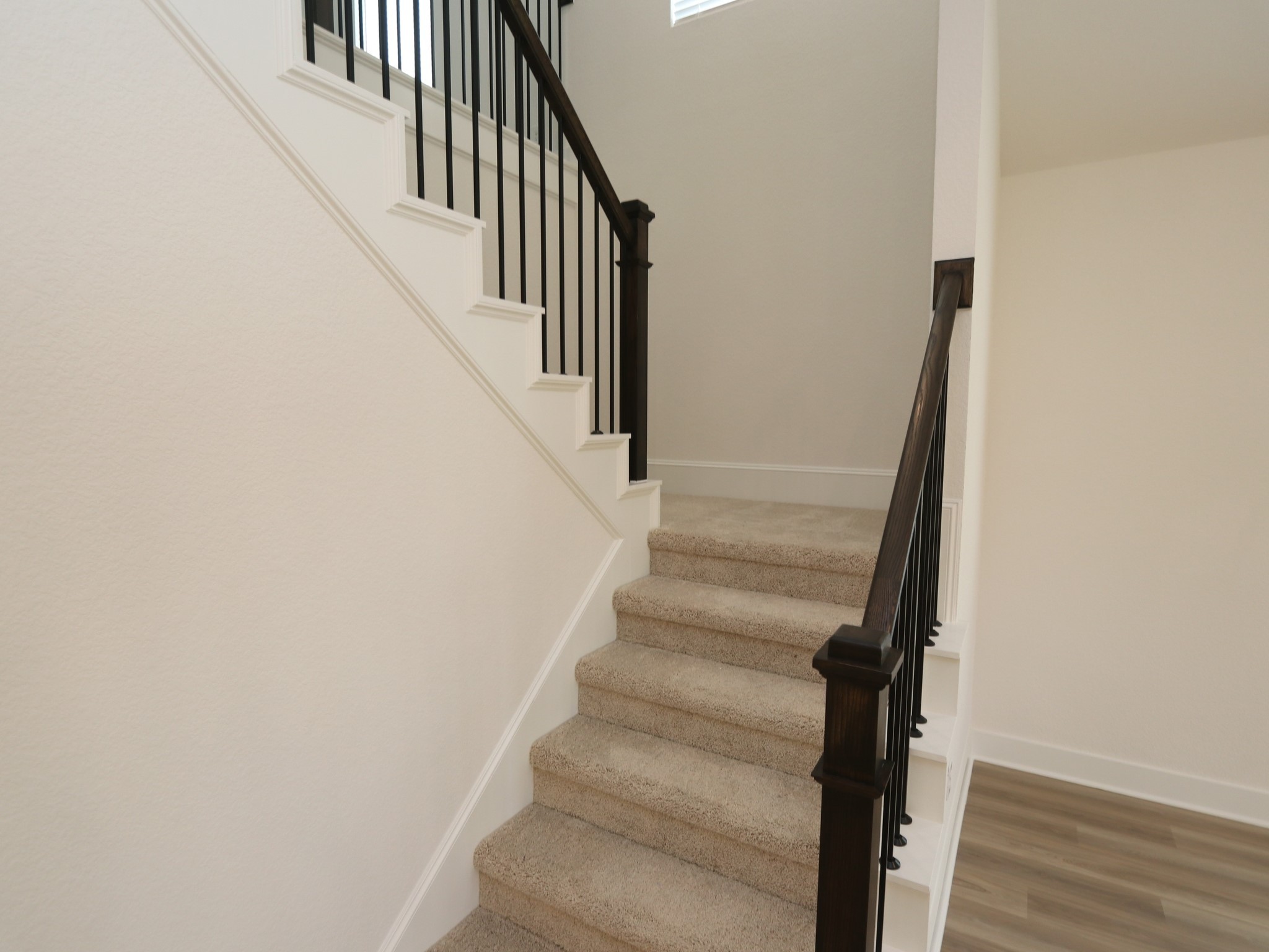 2018 Wheat Pasture Way Property Photo 18