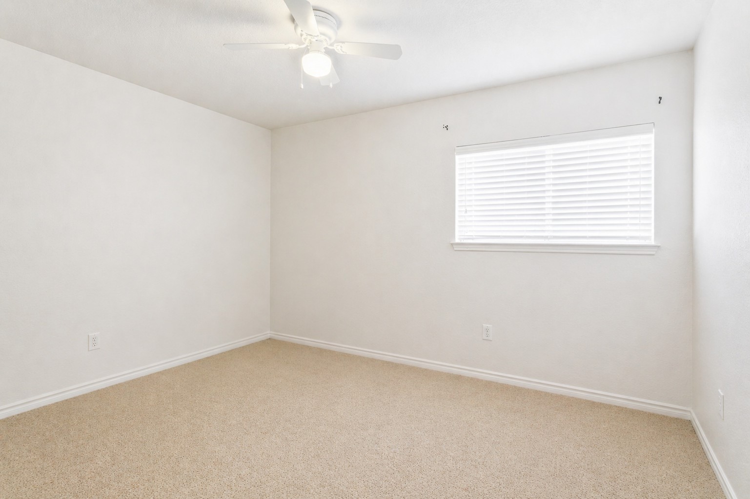 5423 Spring Walk Property Photo 18