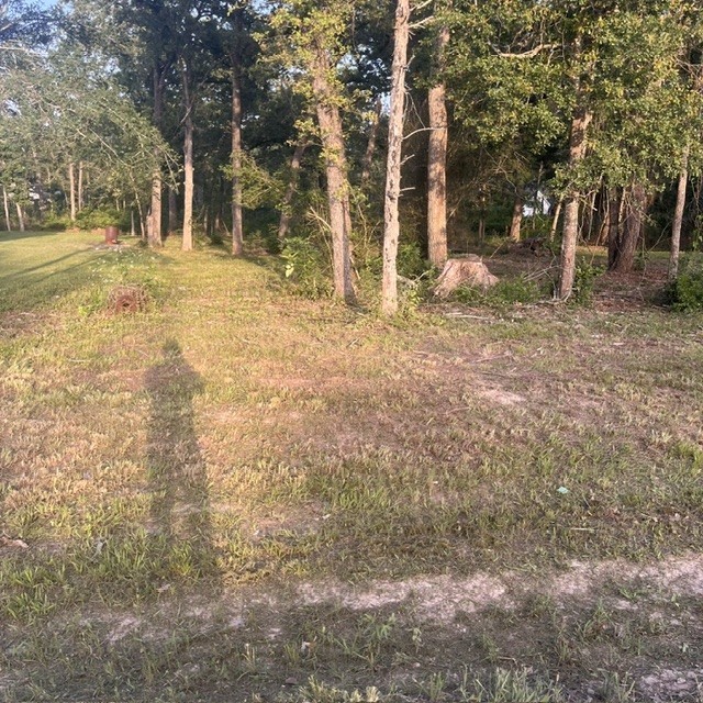 0000 Kerny Property Photo 1