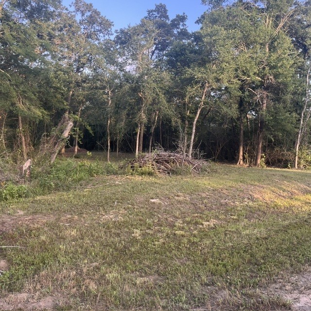 0000 Kerny Property Photo 4
