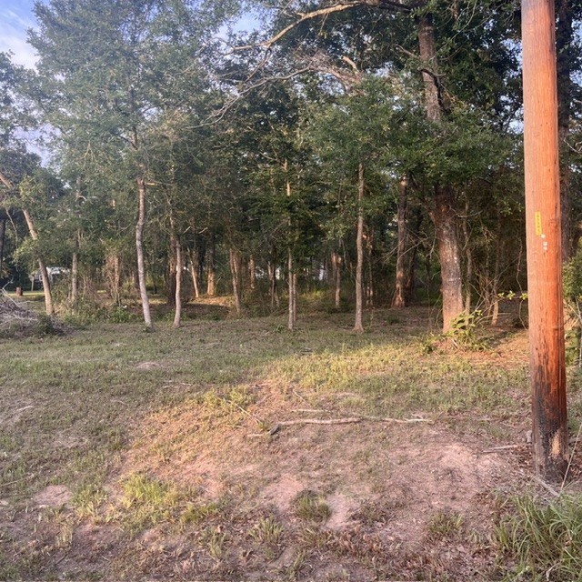 0000 Kerny Property Photo 5