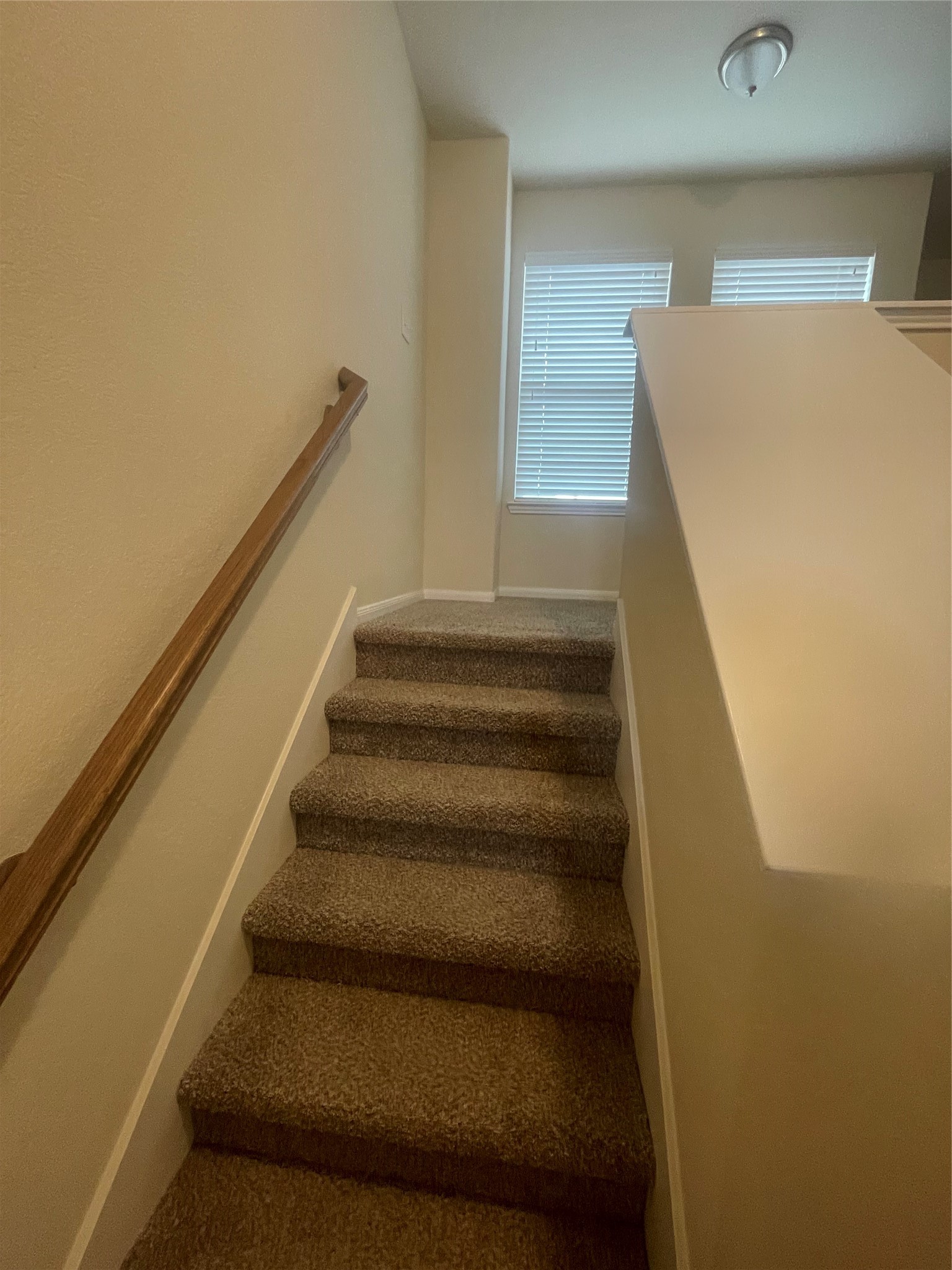 5514 Clarendon Hills Court Property Photo 21