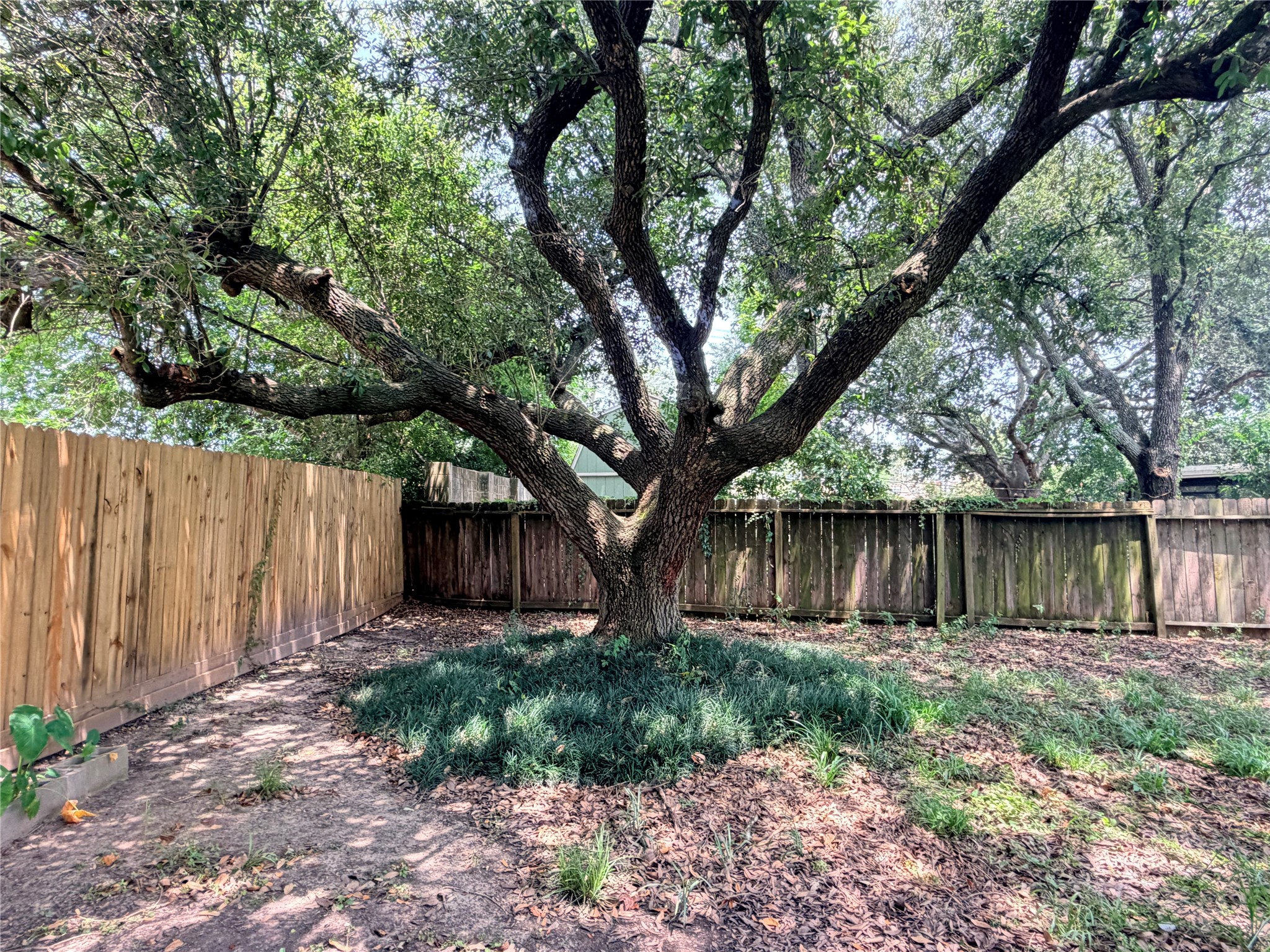 804 Driftwood Street Property Photo 21