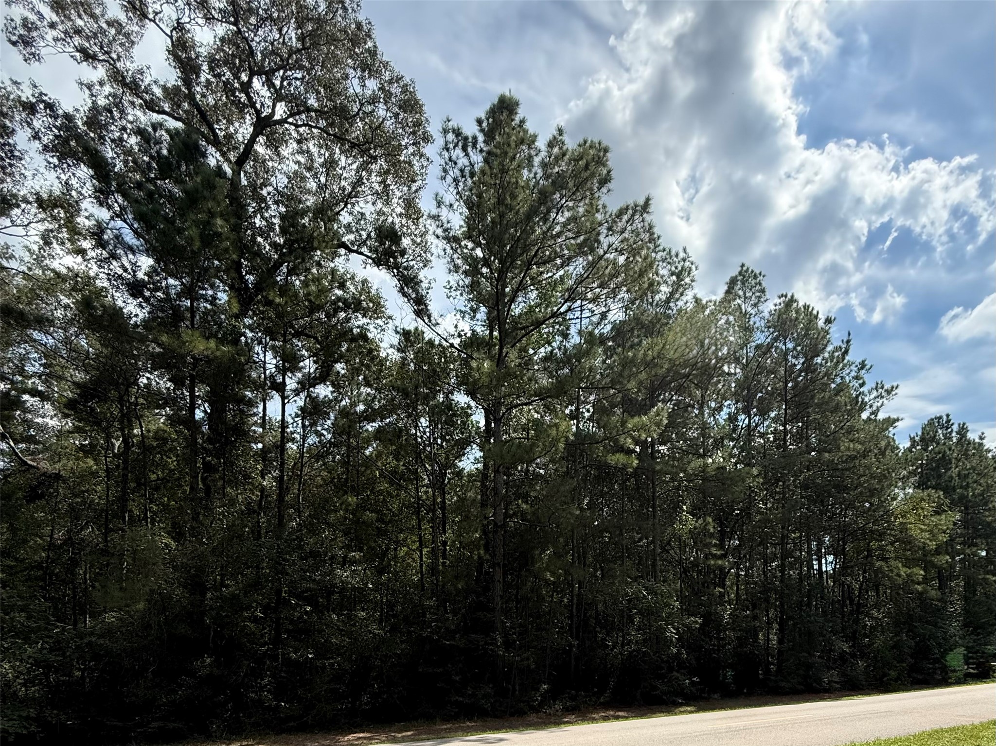 17337 Northcrest Circle Property Photo 3