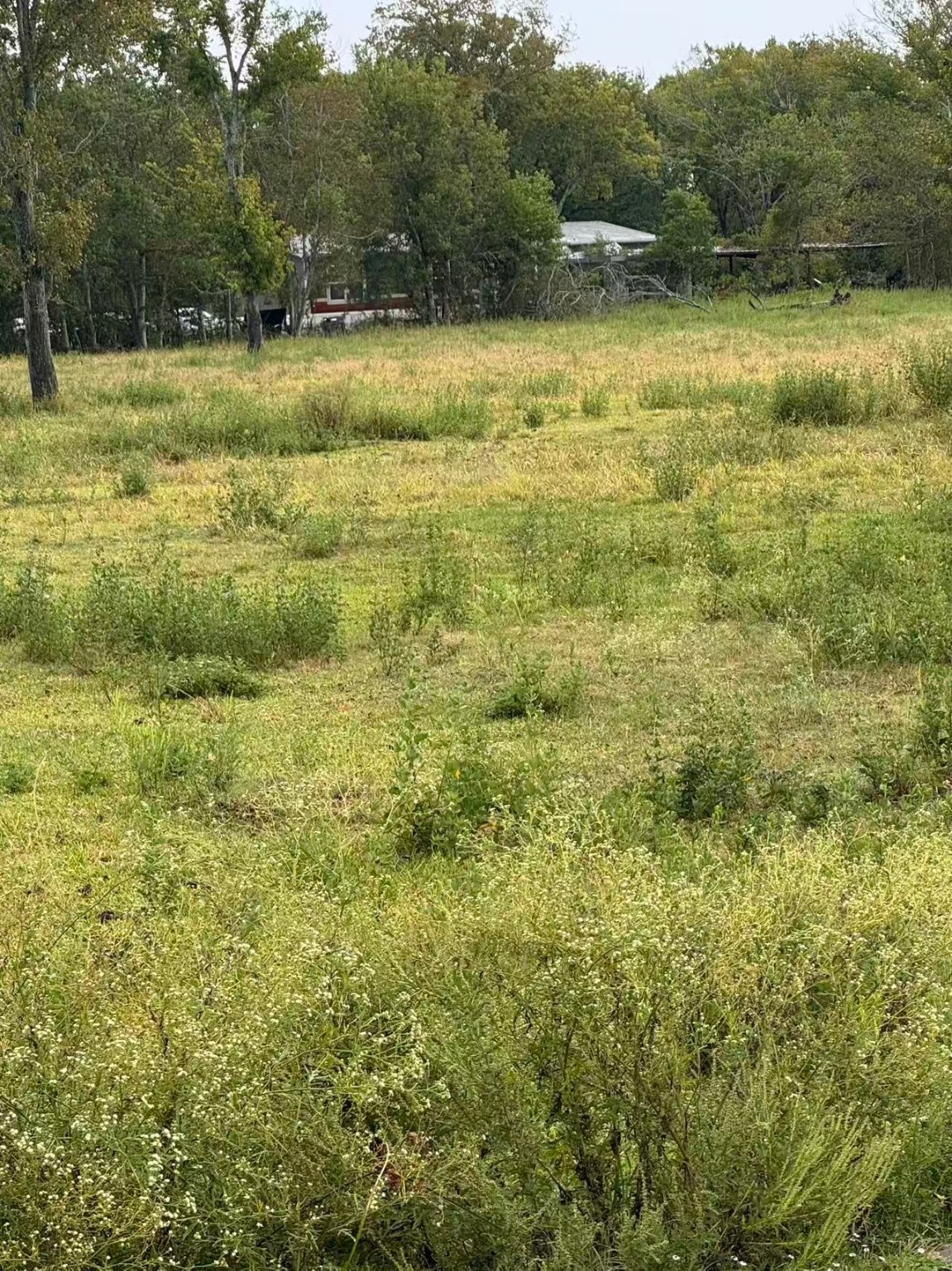 000 Fm 521 Highway N Property Photo 9