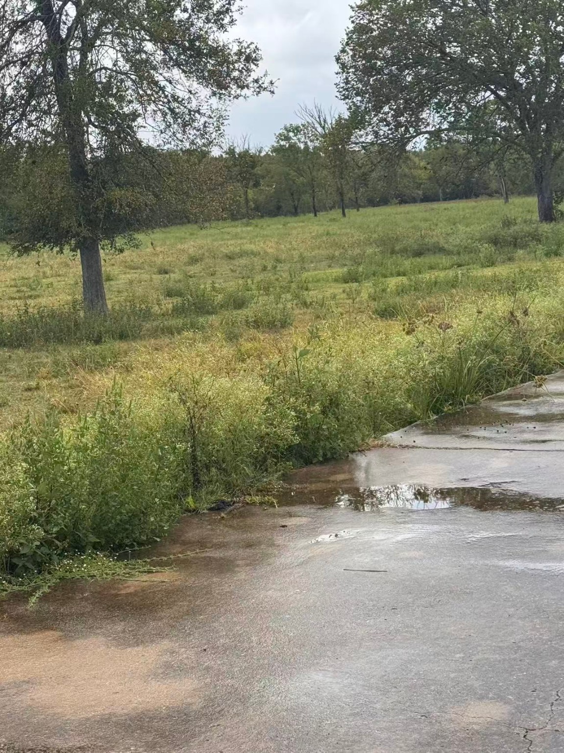 000 Fm 521 Highway N Property Photo 13