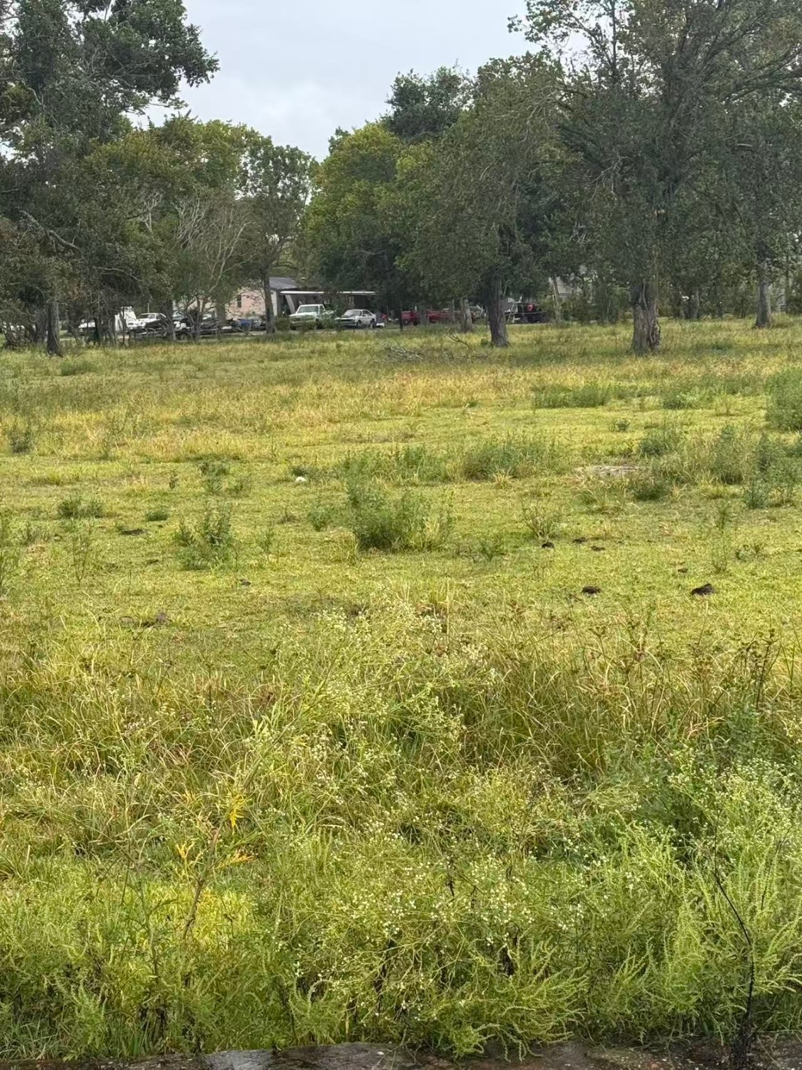 000 Fm 521 Highway N Property Photo 15
