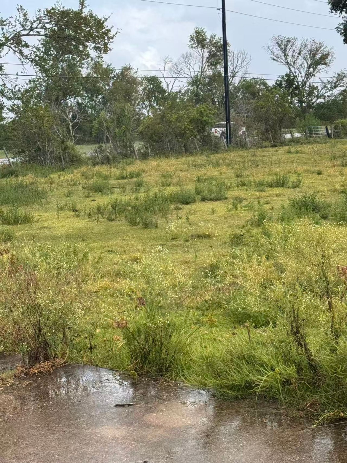 000 Fm 521 Highway N Property Photo 16