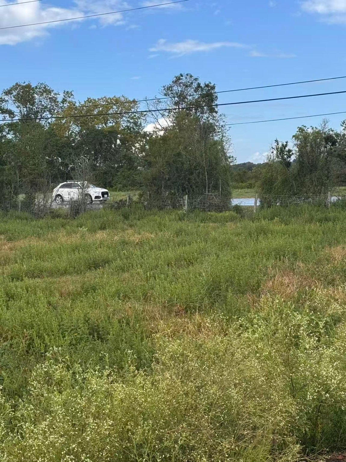 000 Fm 521 Highway N Property Photo 18