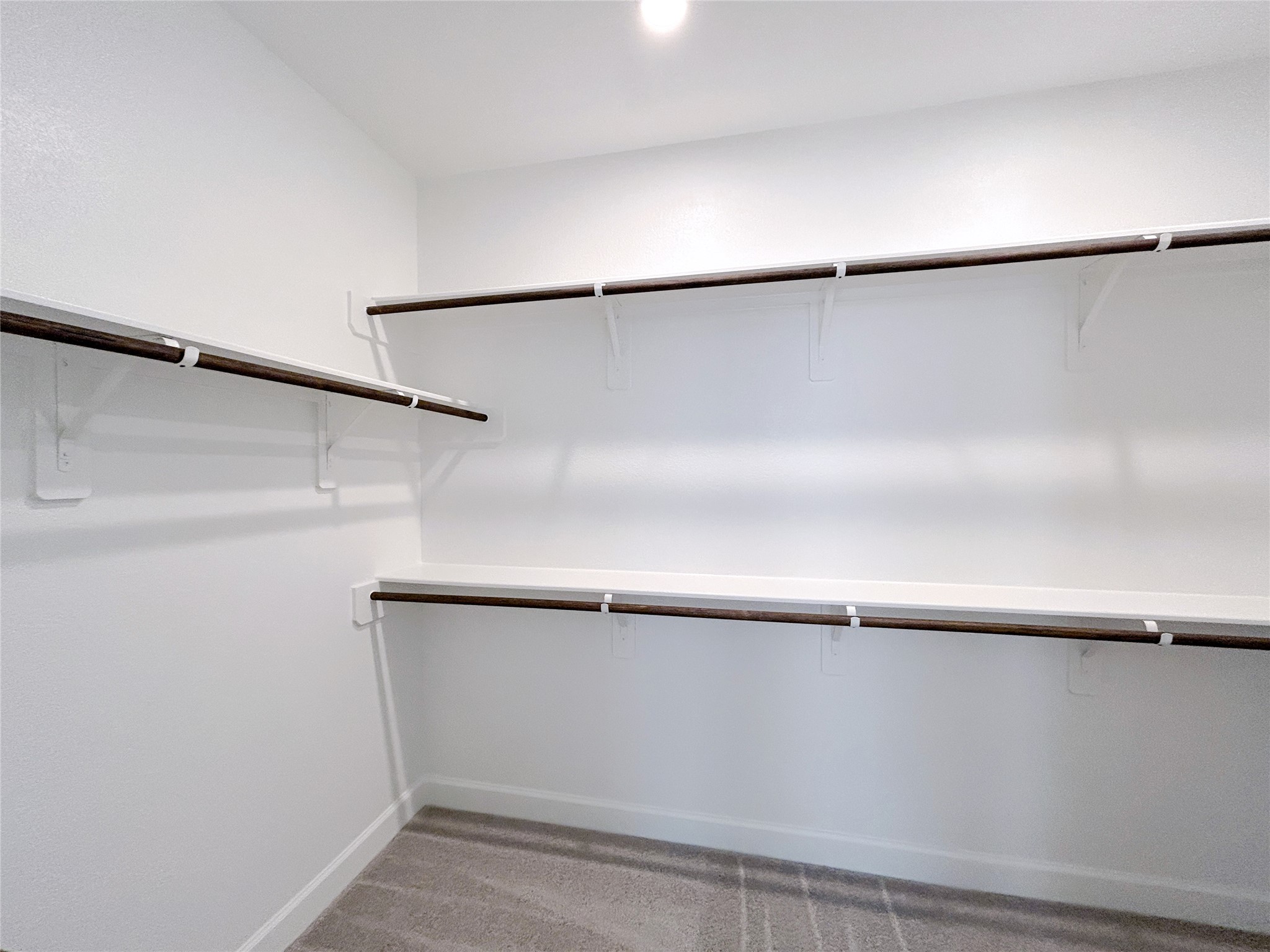 5419 Rocky Banks Way Property Photo 47