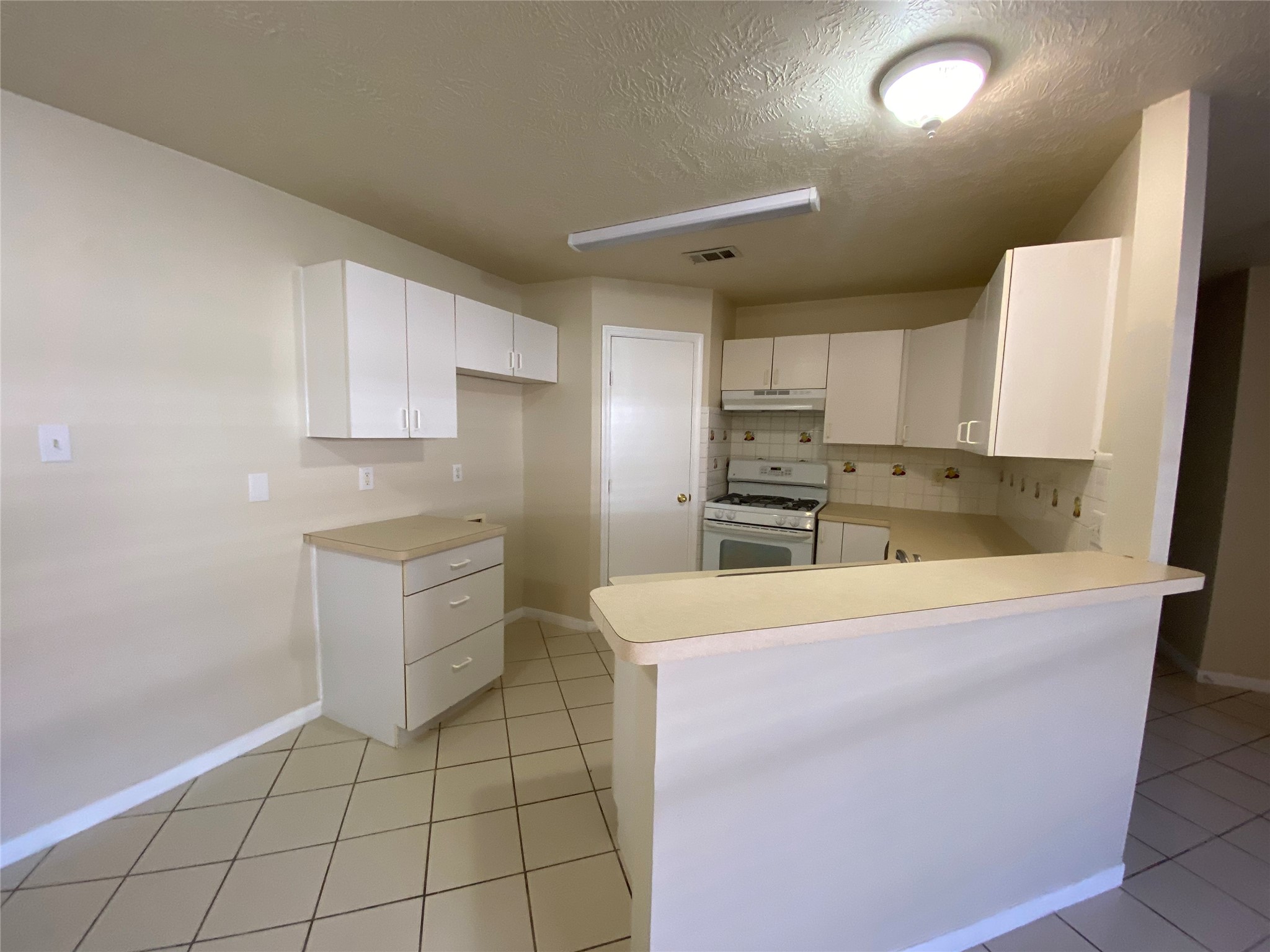 311 Willowick Street Property Photo 6