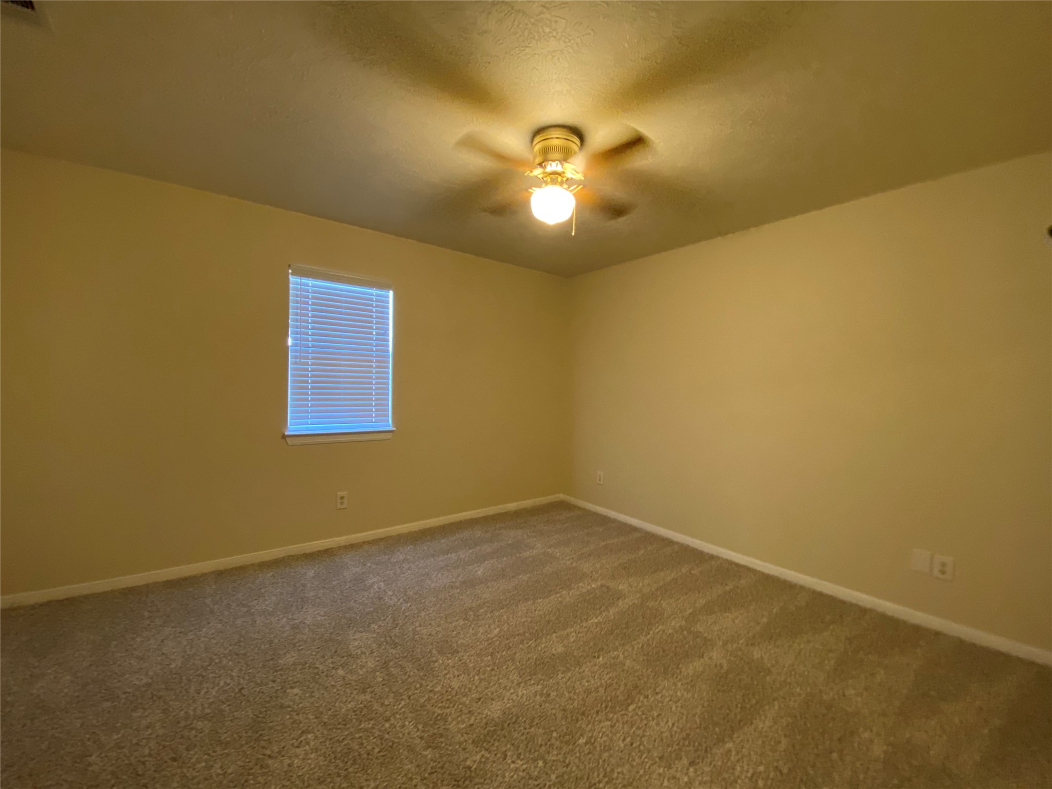 311 Willowick Street Property Photo 8