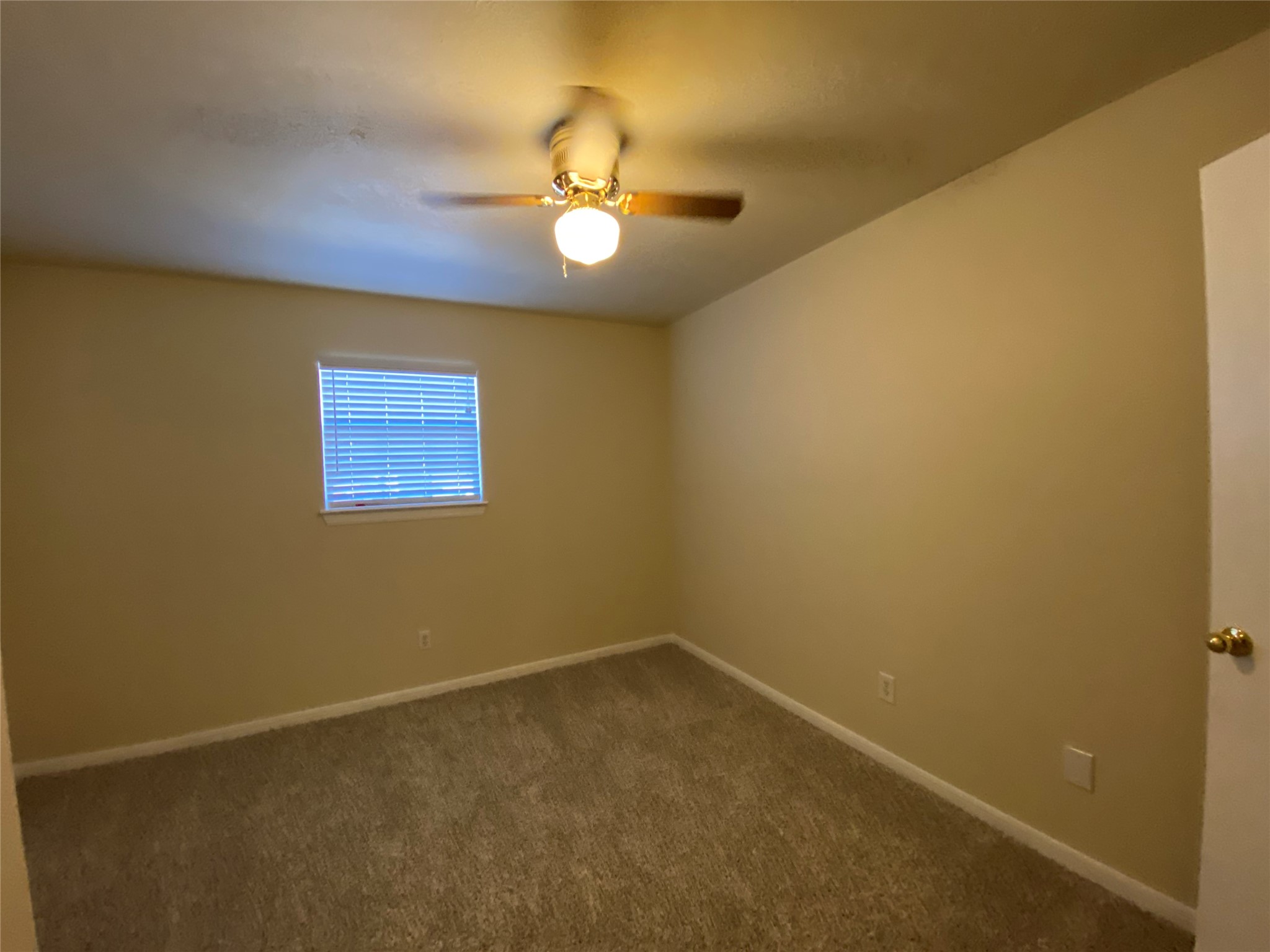 311 Willowick Street Property Photo 9