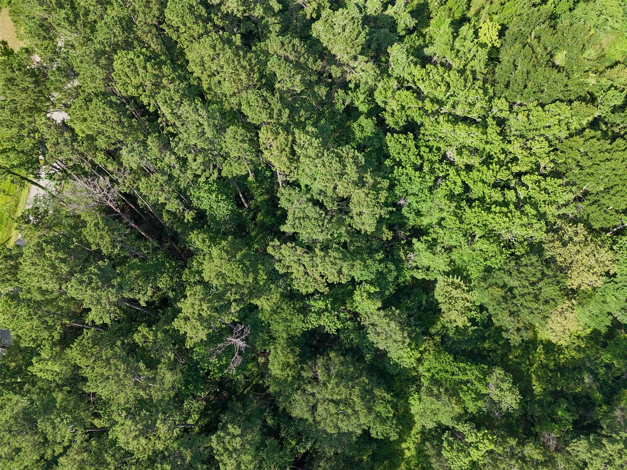 Tbd W Lawrence Property Photo 13