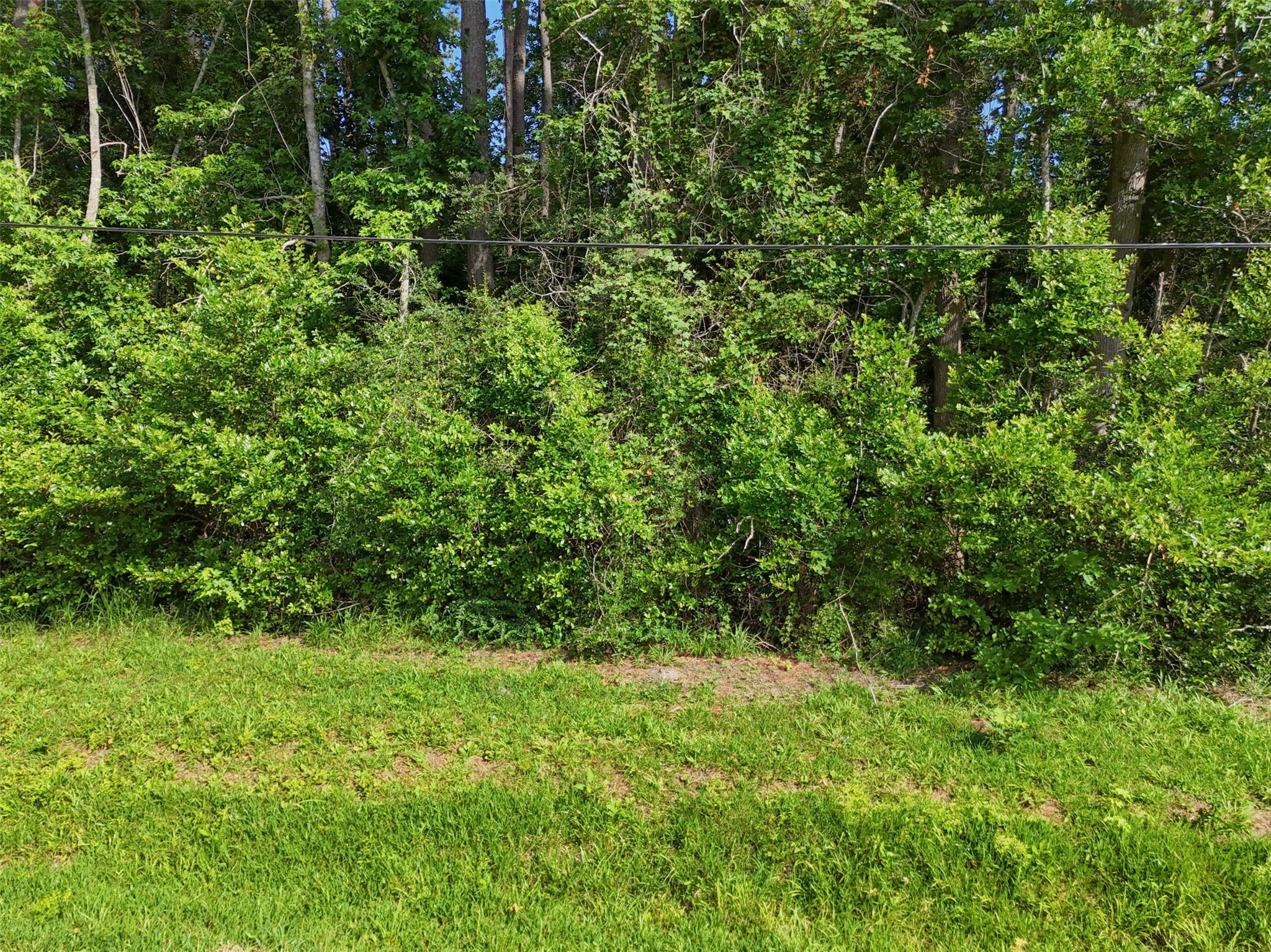 Tbd W Lawrence Property Photo 14