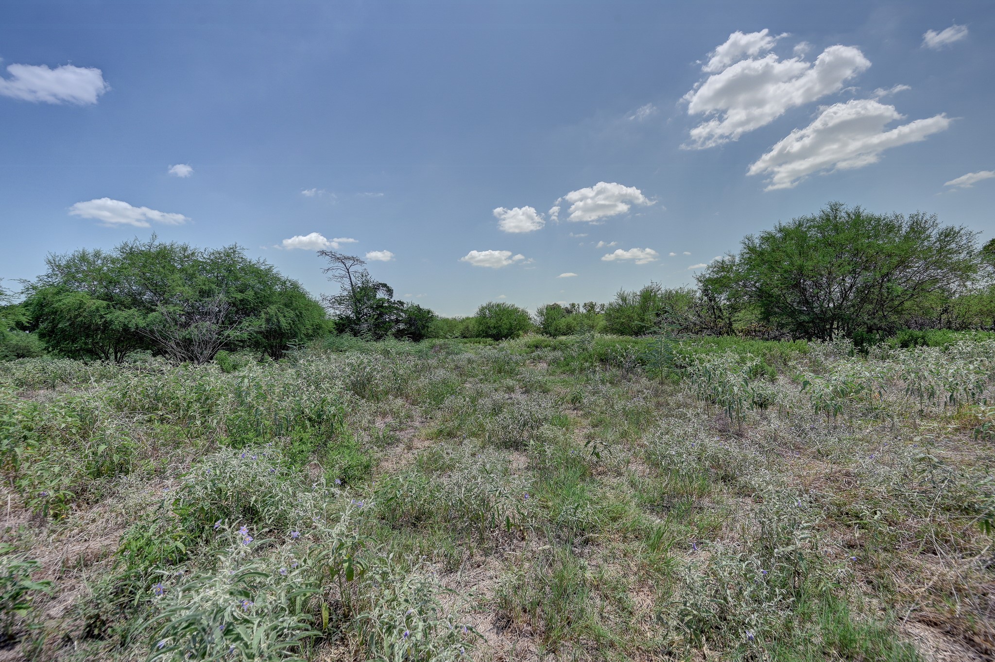 1231 County Road 131 Property Photo 39