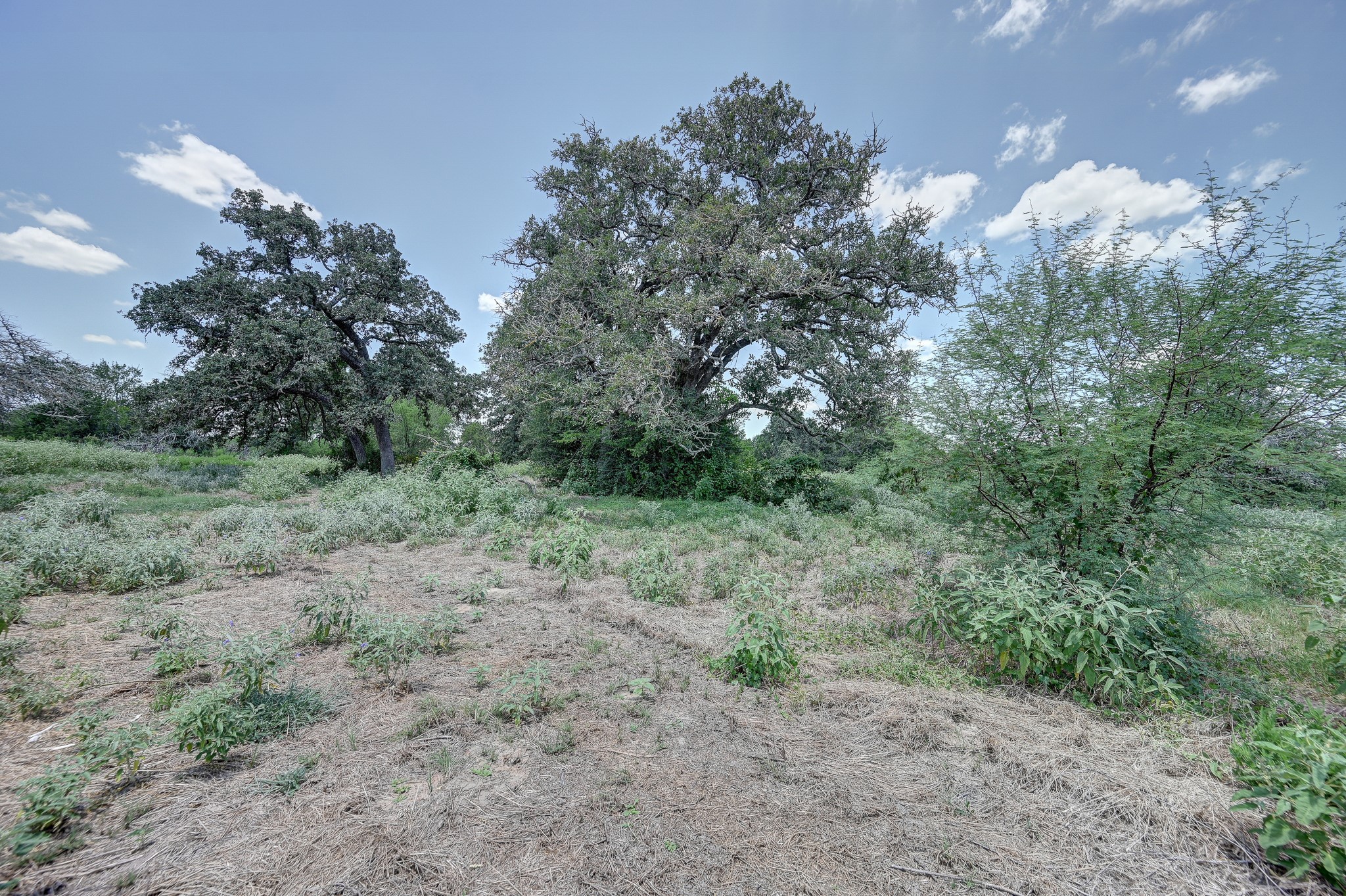 1231 County Road 131 Property Photo 40