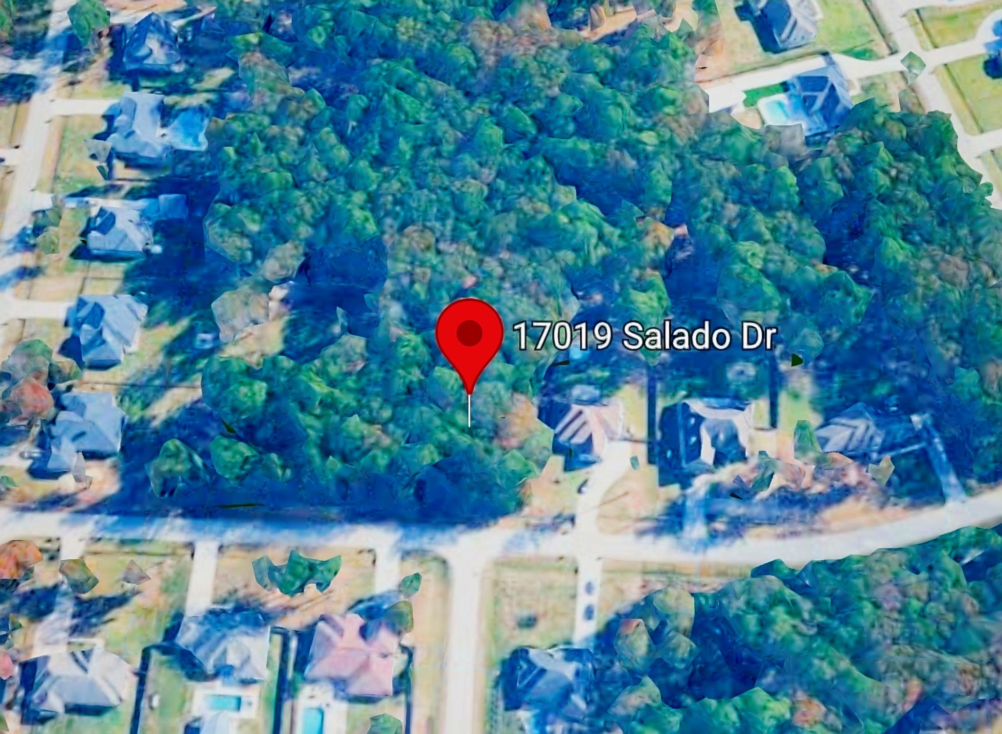 17019 Salado Drive, Splendora TX 77372 Property Photo 1