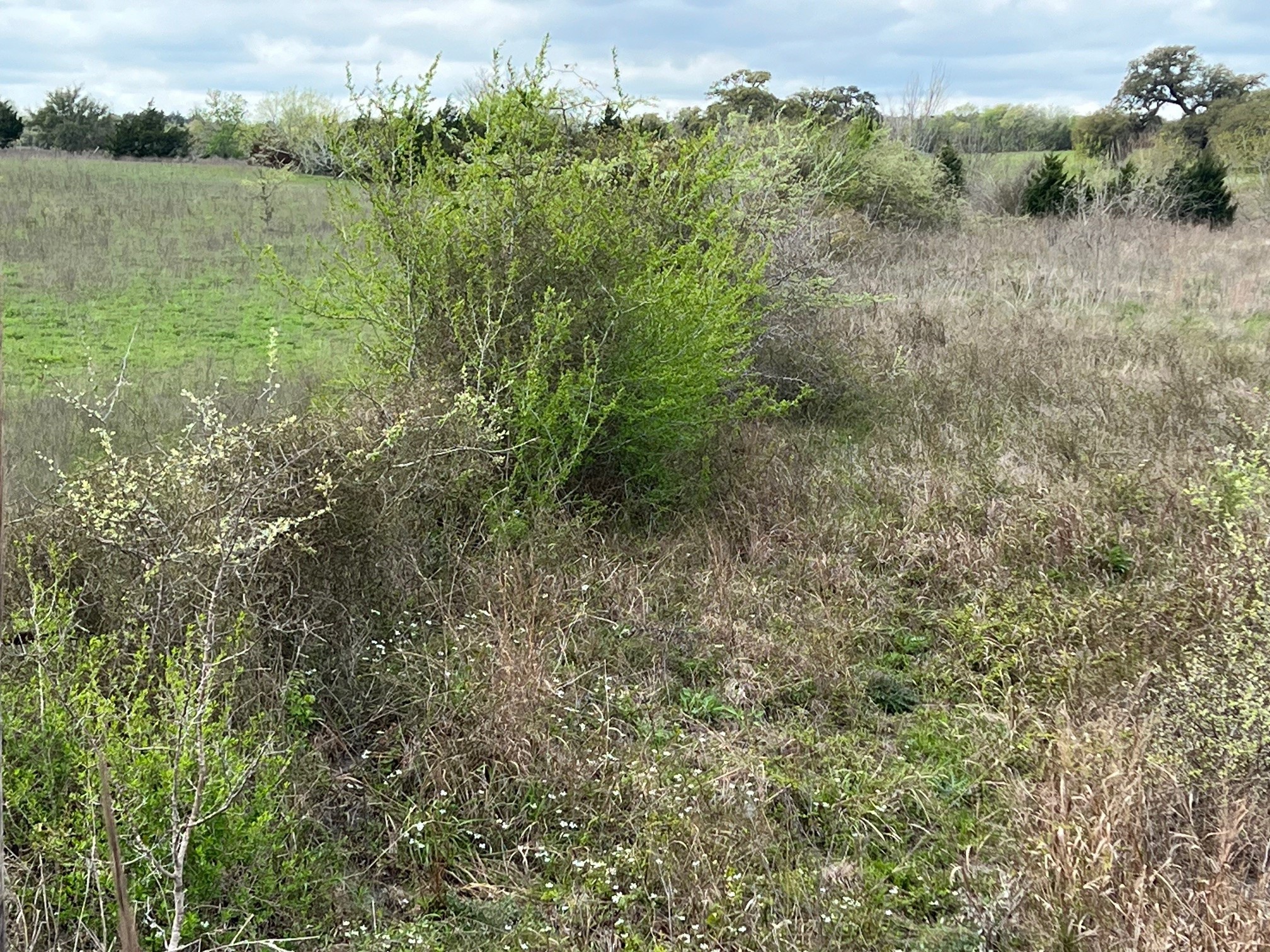 0000 Gebert Road Property Photo 12