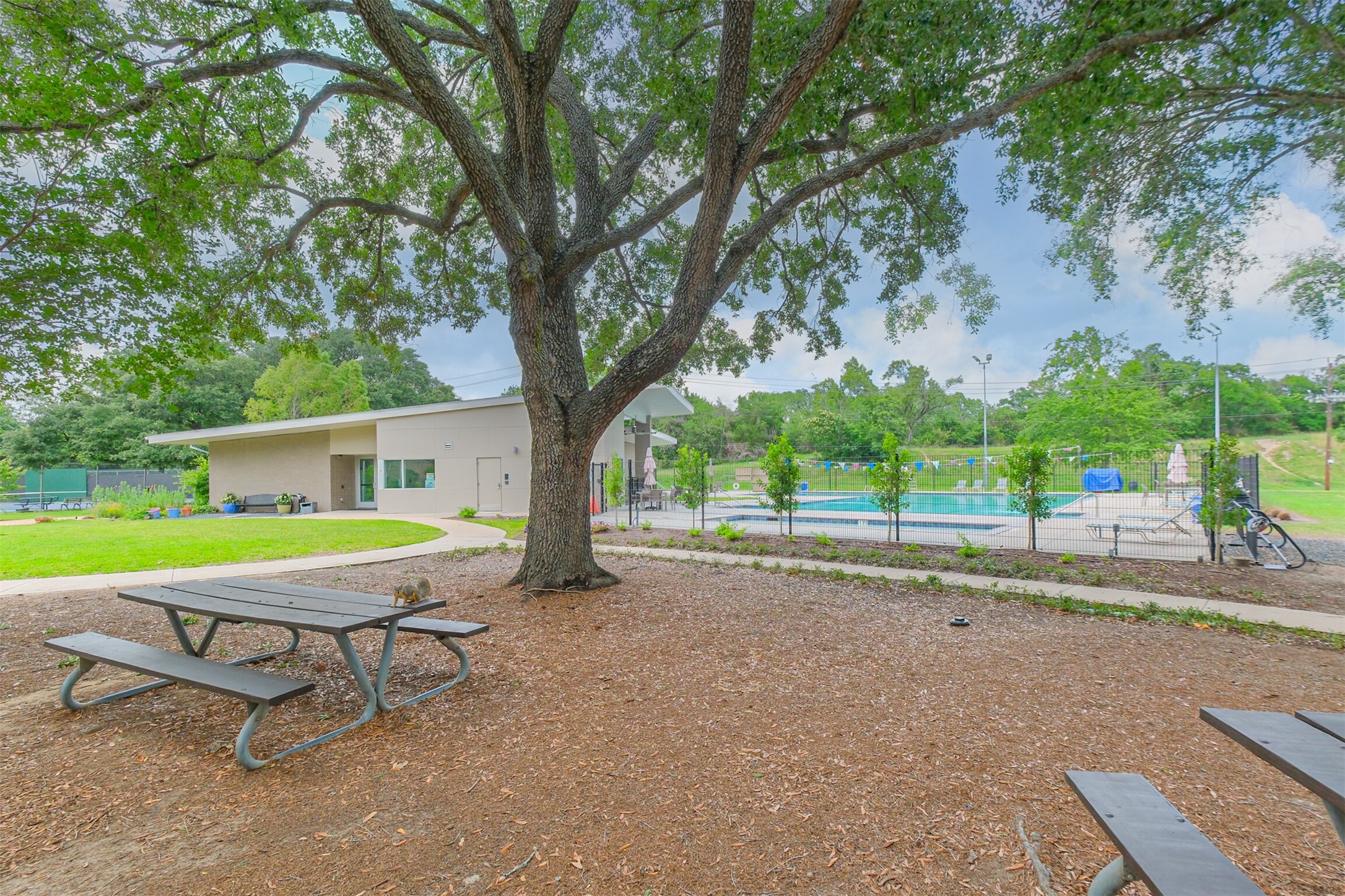 13919 Swiss Hill Drive Property Photo 41