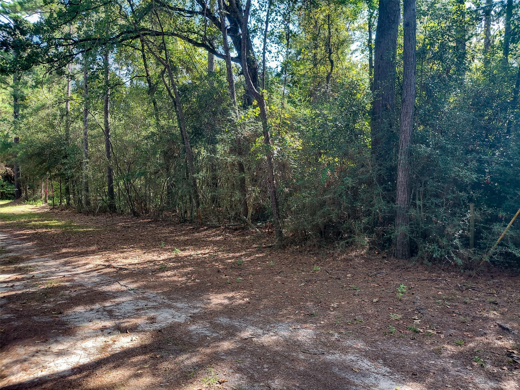 230 Private Road 8305 Property Photo 2