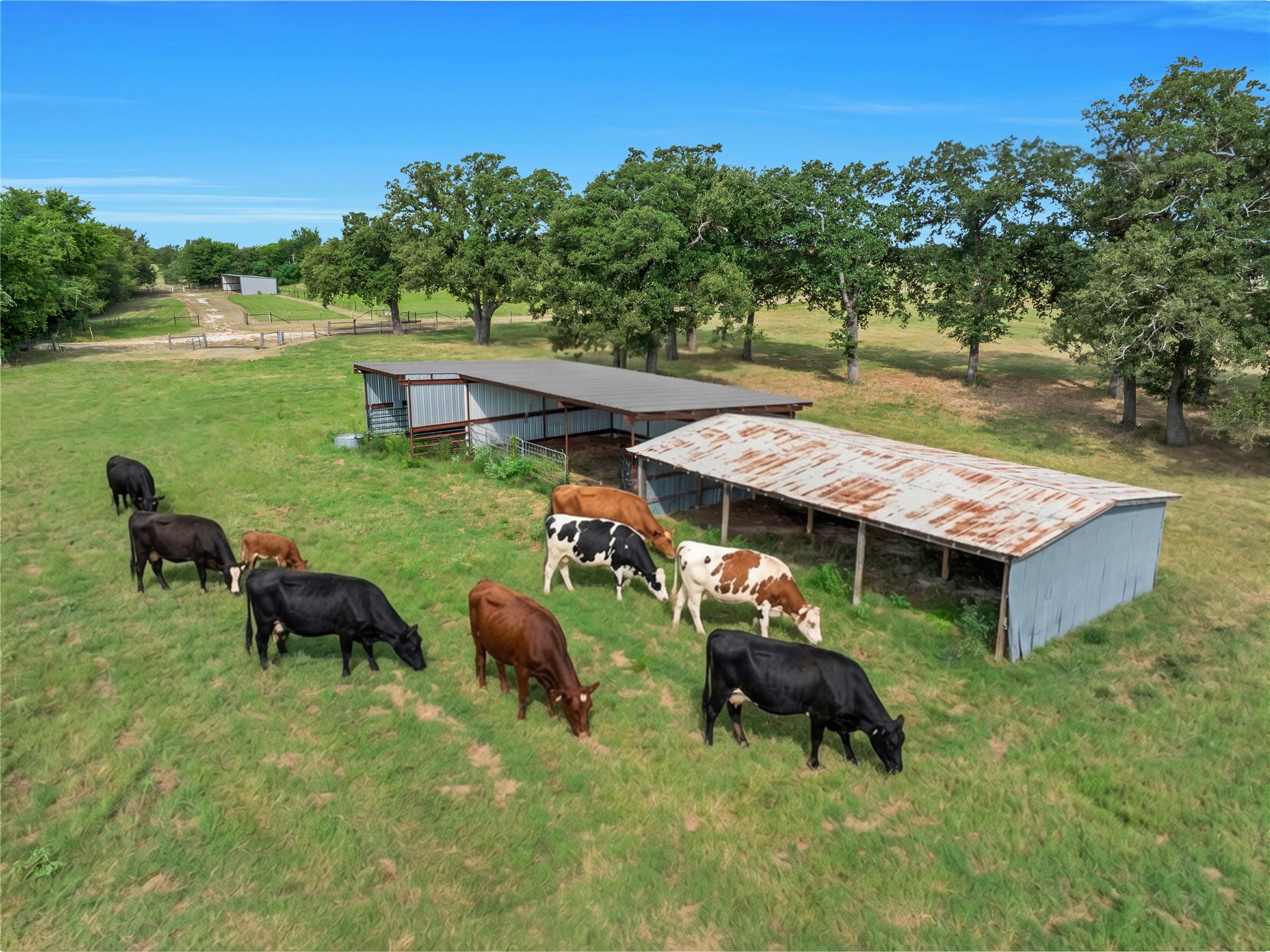 432 Fm 1953 Property Photo 49