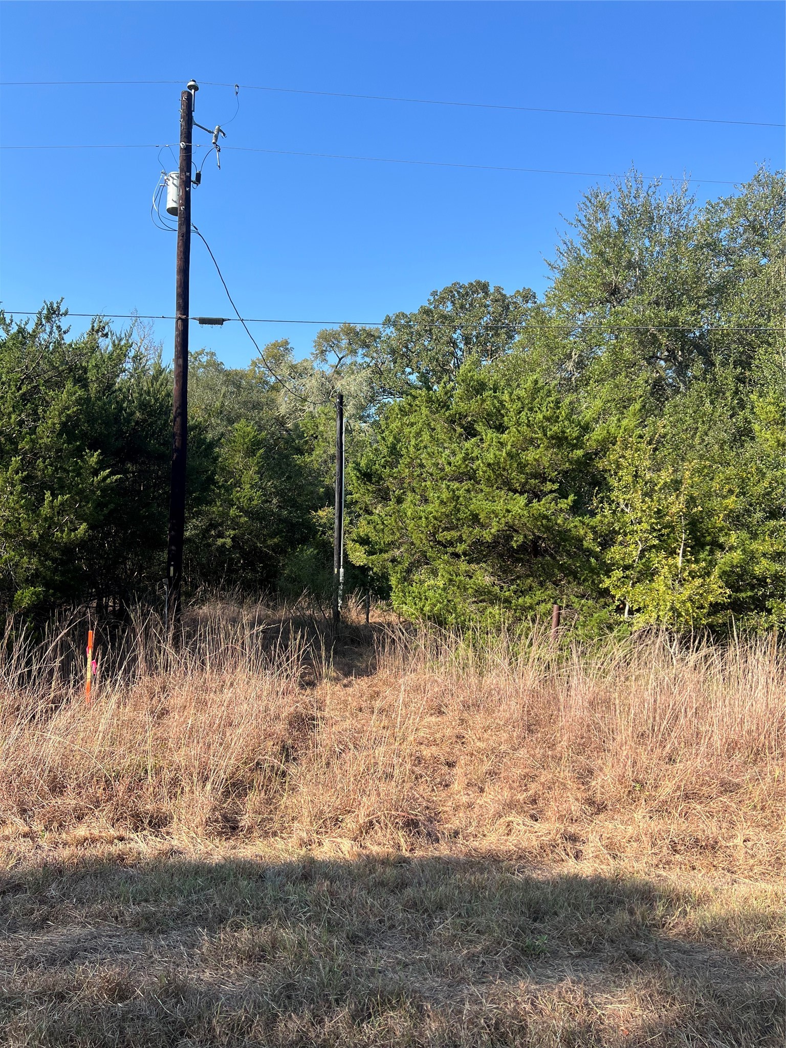 2468 Sierra Road Property Photo 3