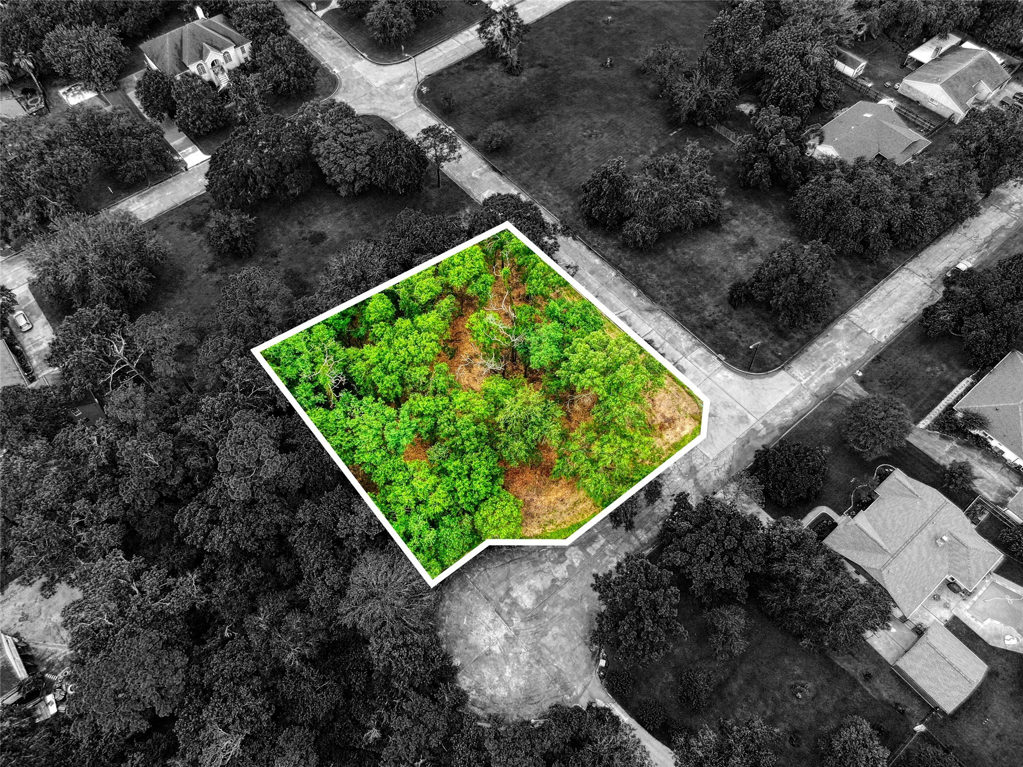 501 Colonial Drive Property Photo 6