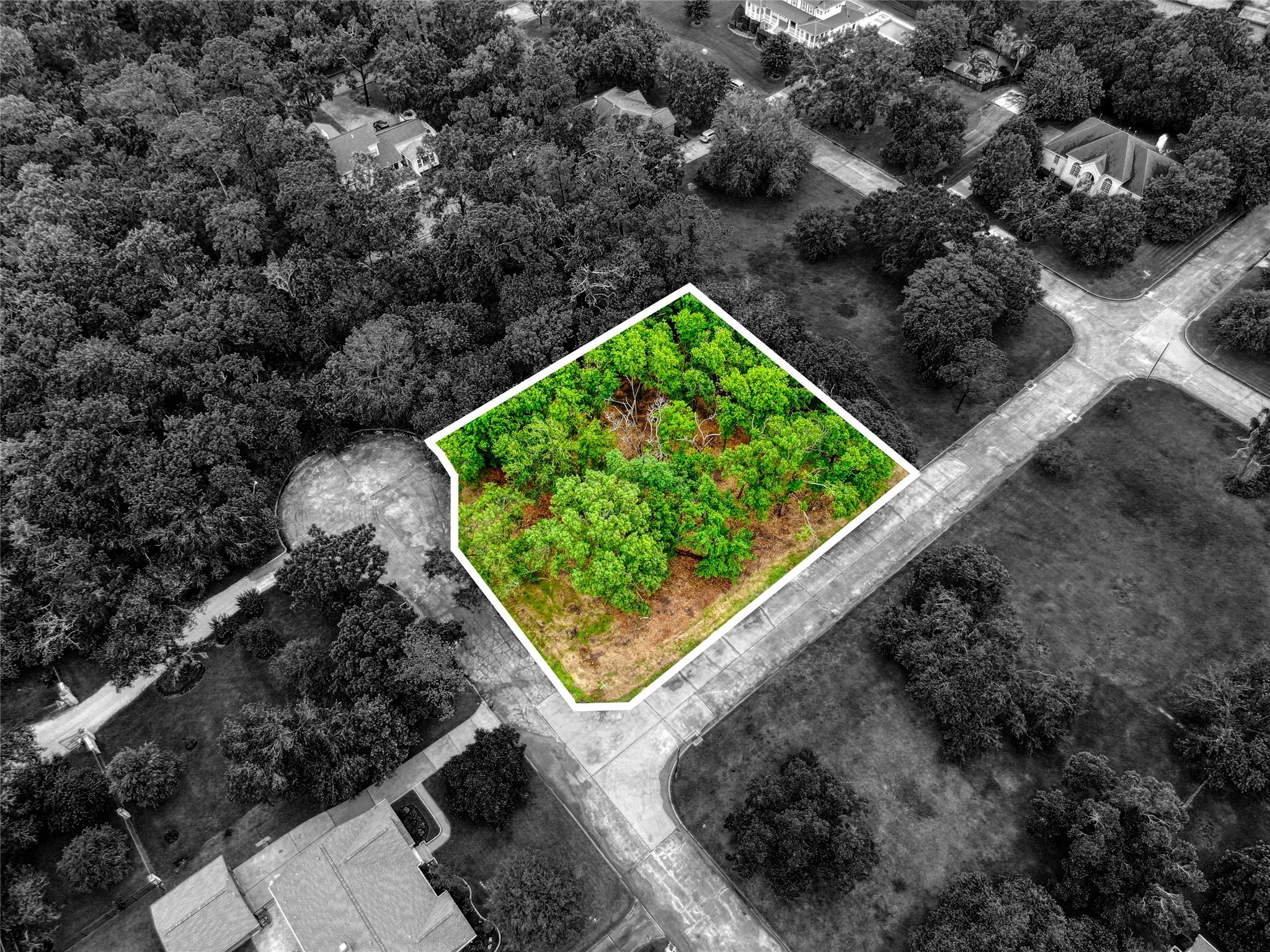 501 Colonial Drive Property Photo 12