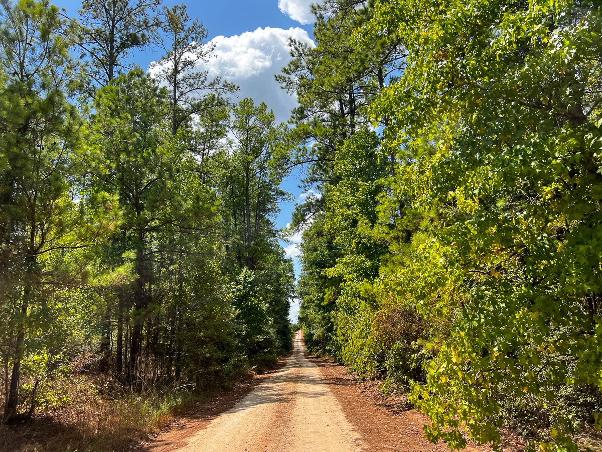 00 Off Lost Indian Camp Road Property Photo 3