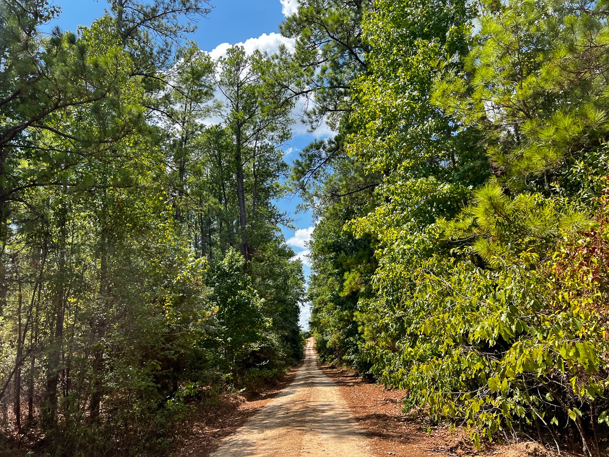 00 Off Lost Indian Camp Road Property Photo 6